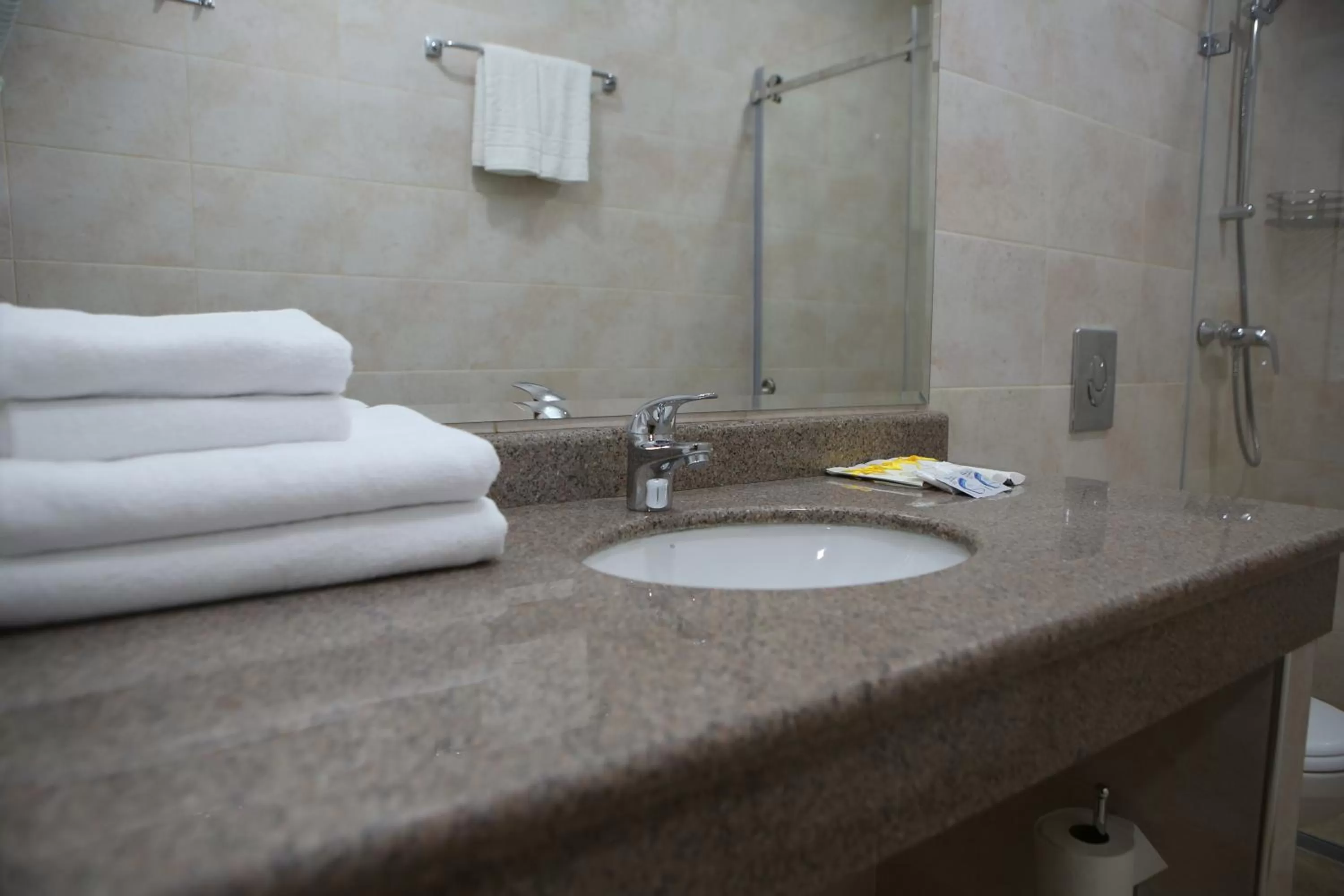 Toilet, Bathroom in Hotel Aner