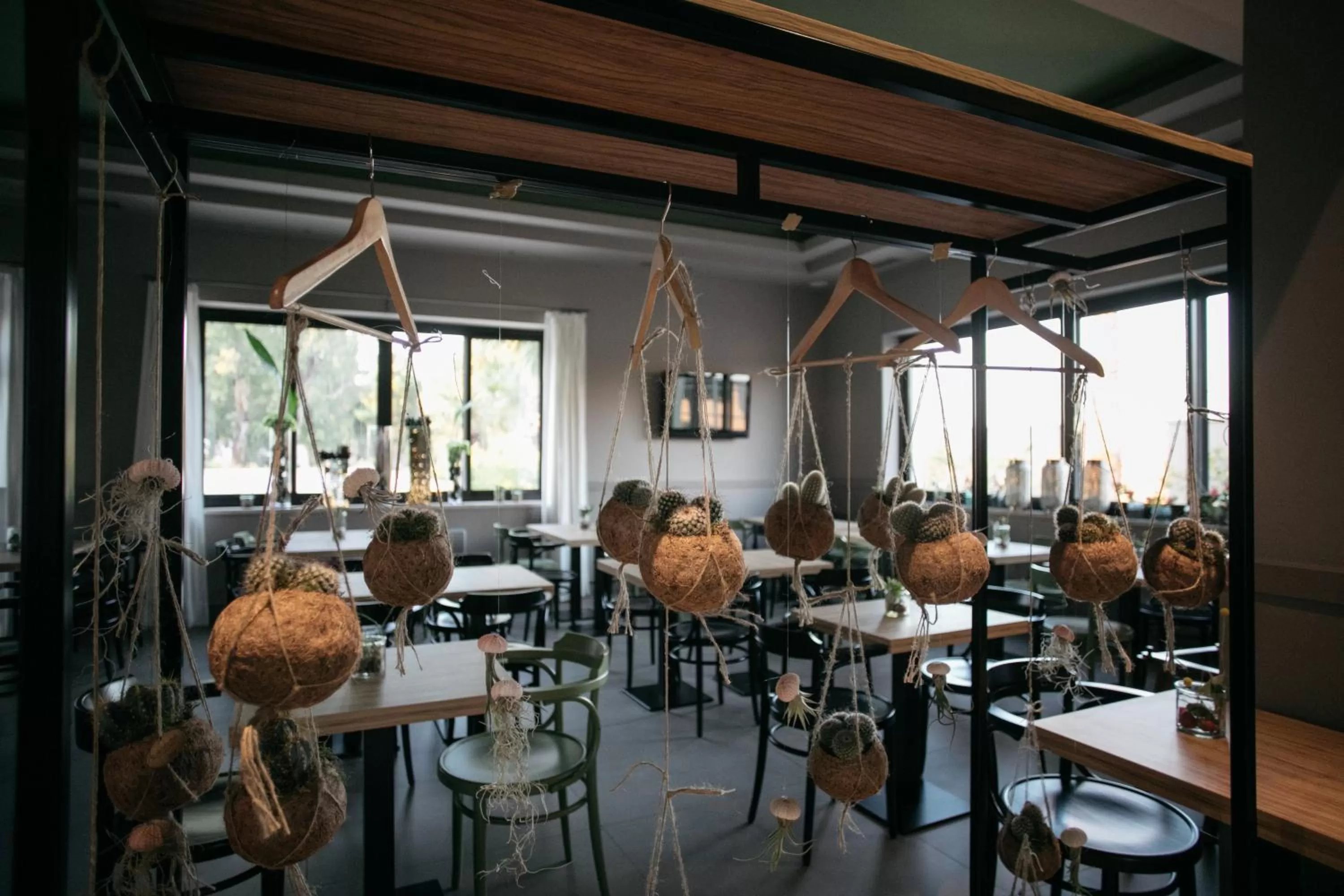 Restaurant/places to eat in Hotel Aloisi