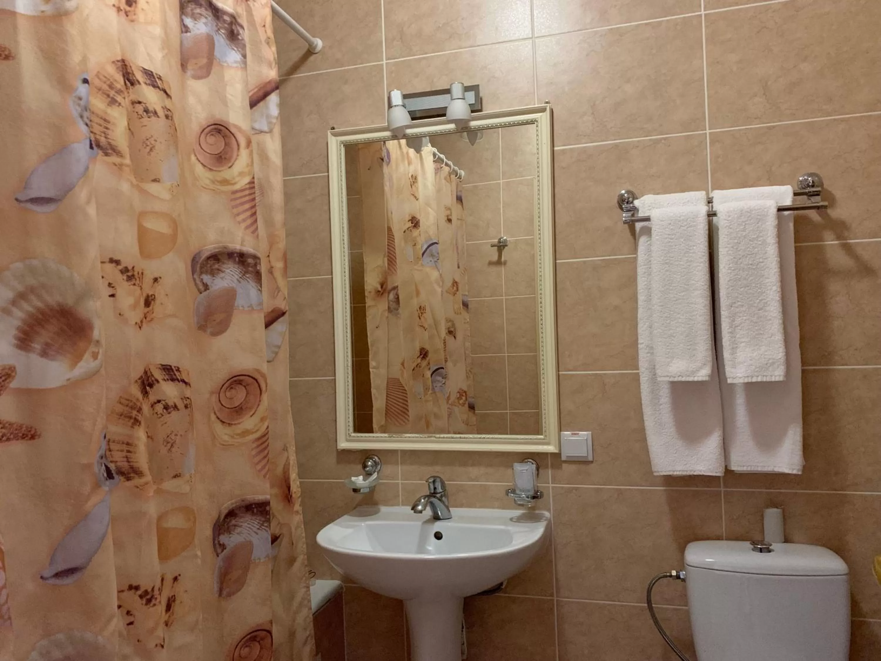 Bathroom in Hotel Prydesnyansky