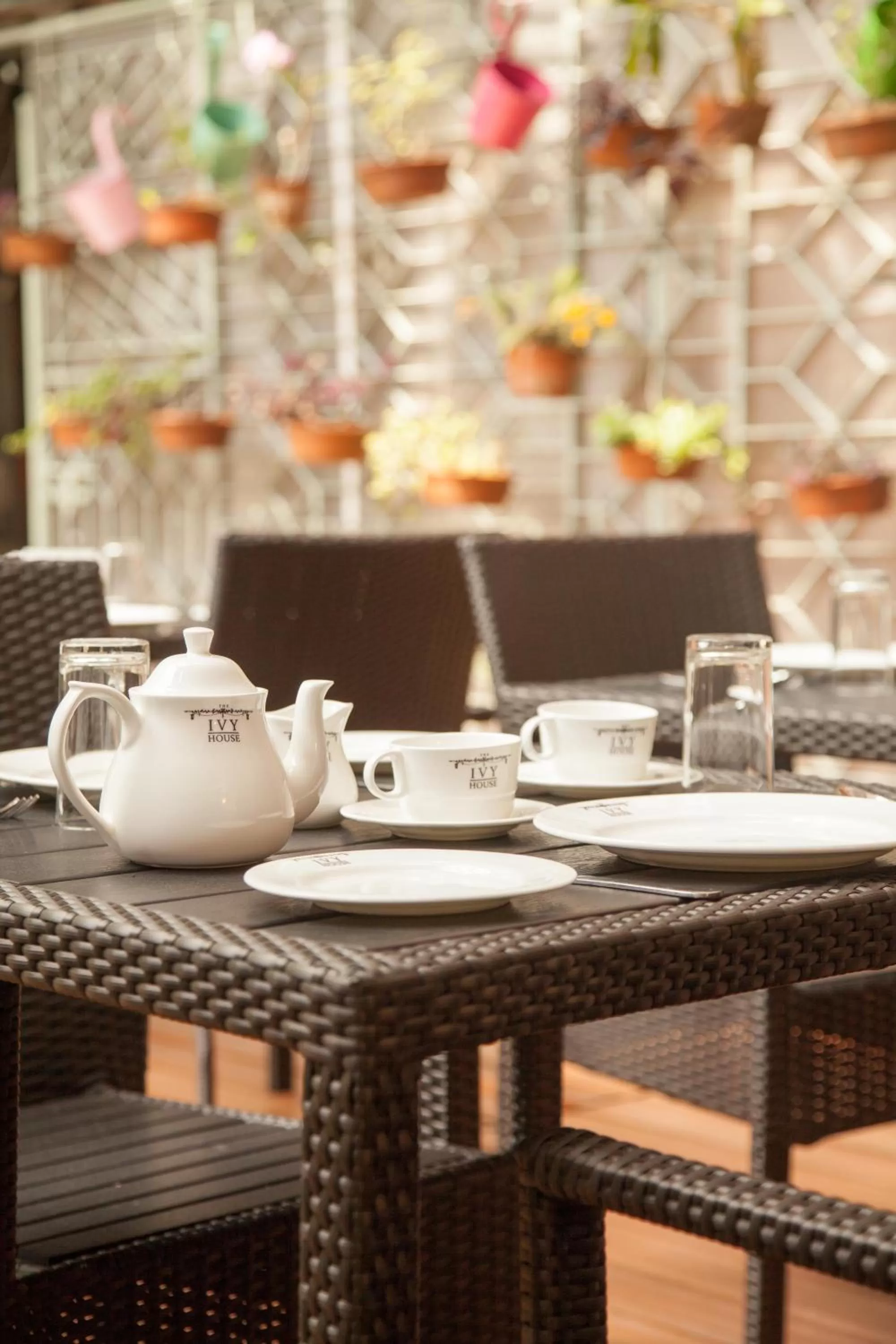 Restaurant/Places to Eat in The Ivy House