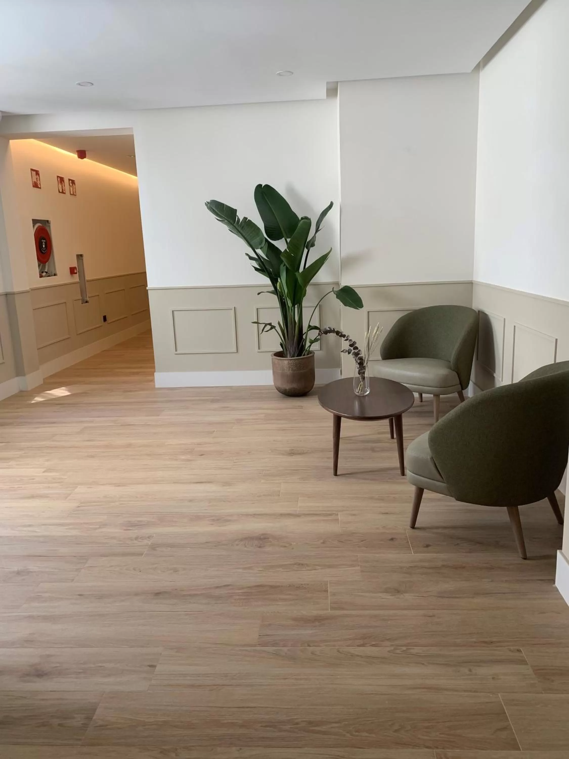 Area and facilities in Hotel Don Pepo