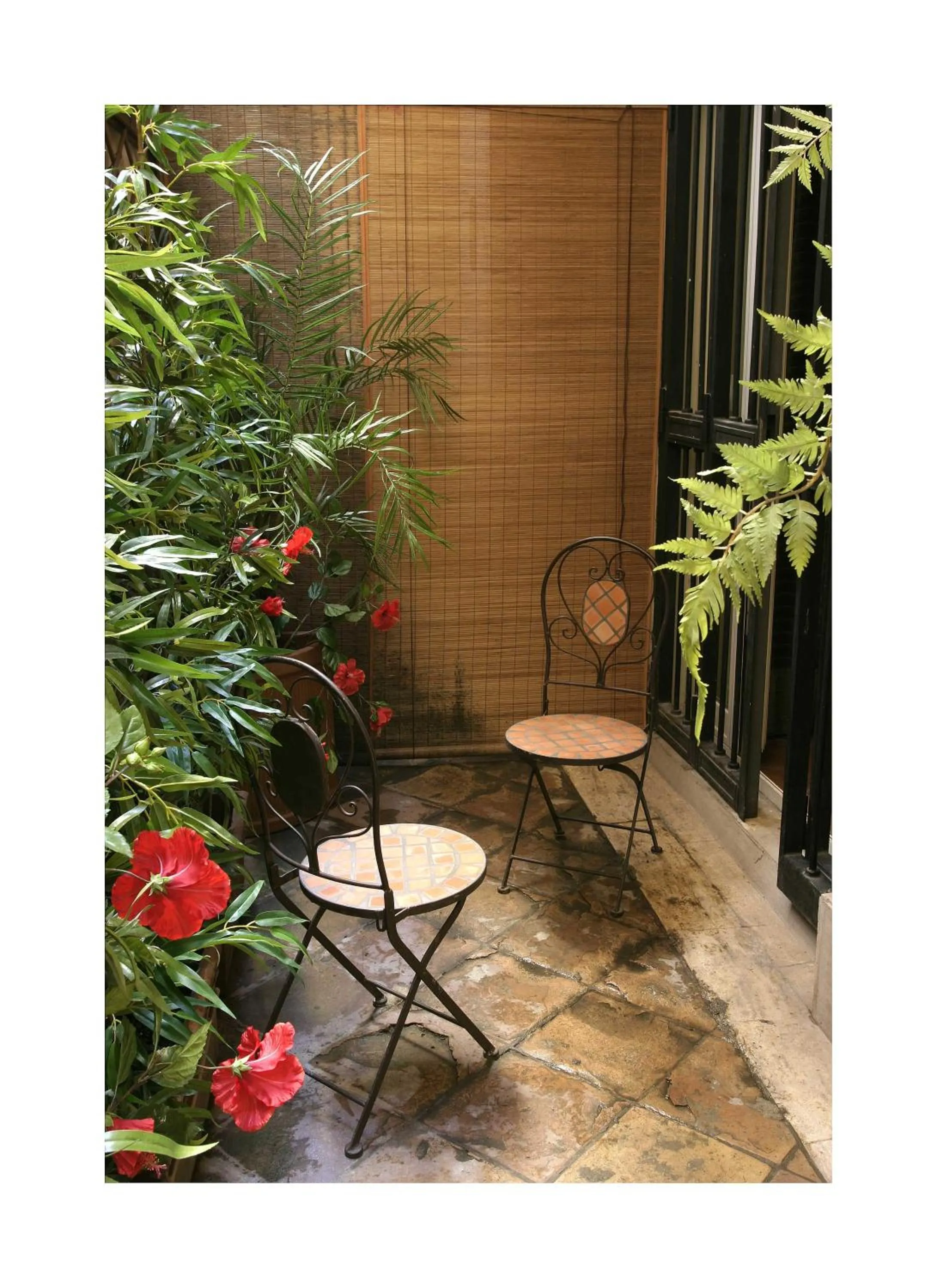 Patio in Basilio 55 Rome