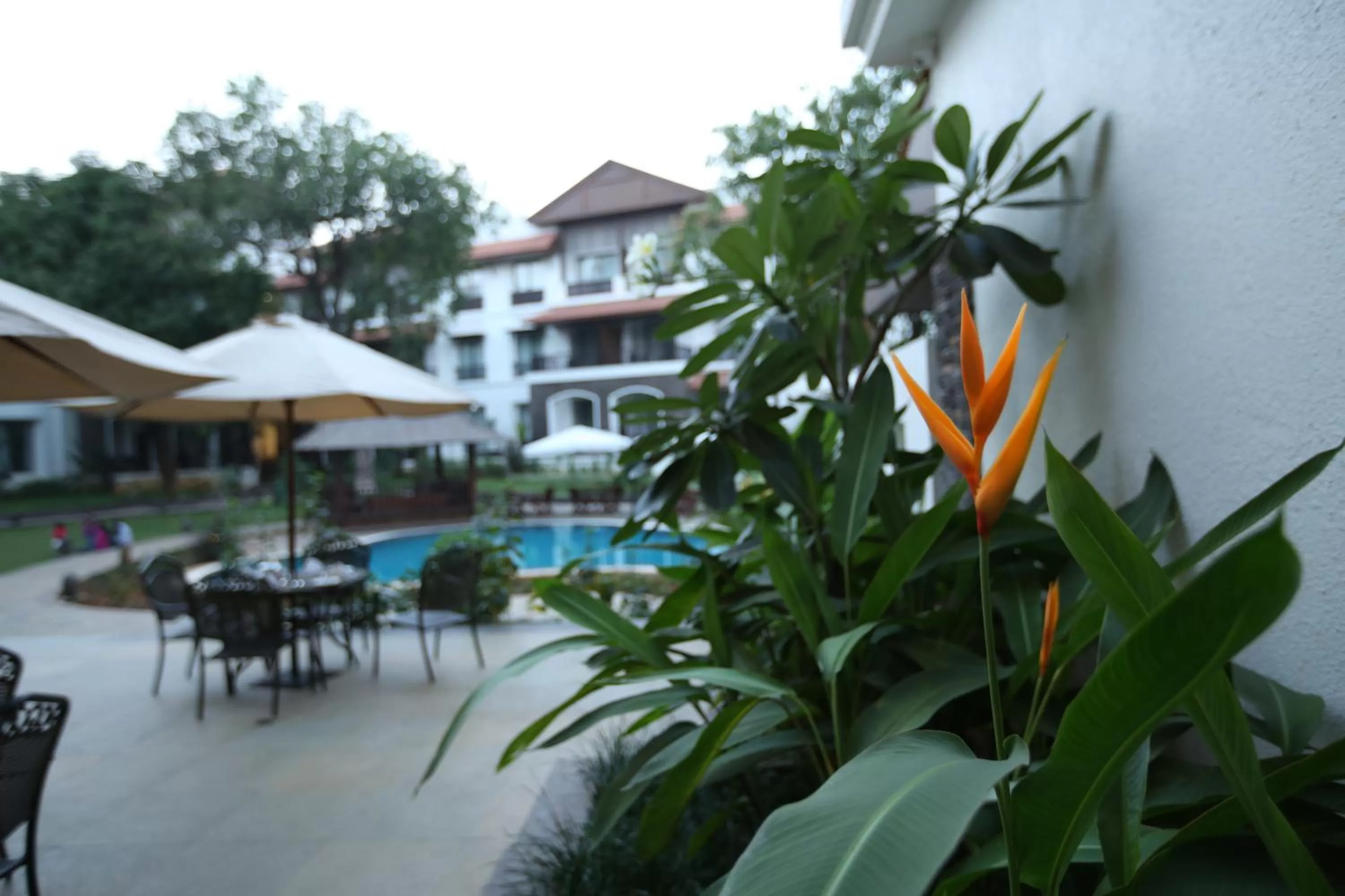 Restaurant/places to eat in Rhythm Lonavala - An All Suite Resort