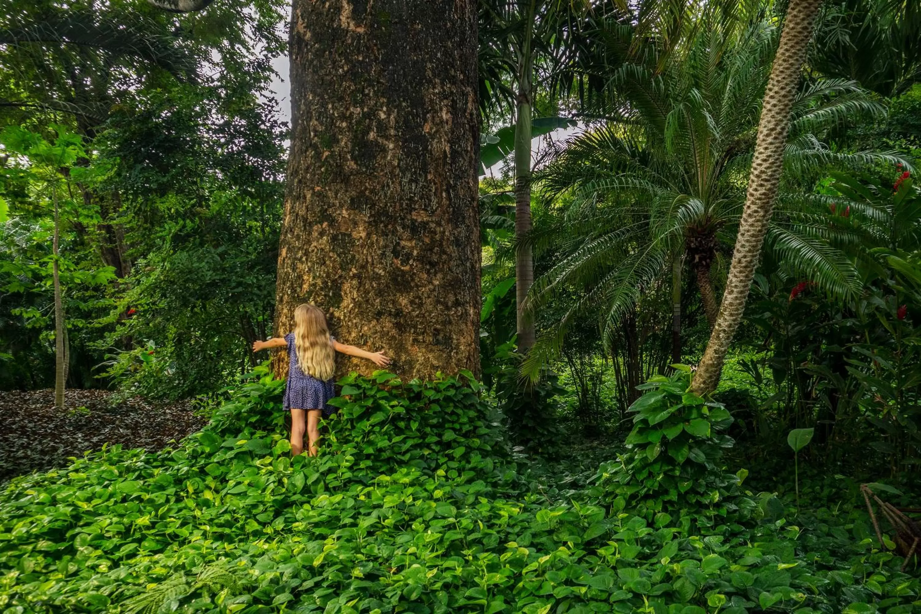 Garden in Capitán Suizo Beachfront Boutique Hotel