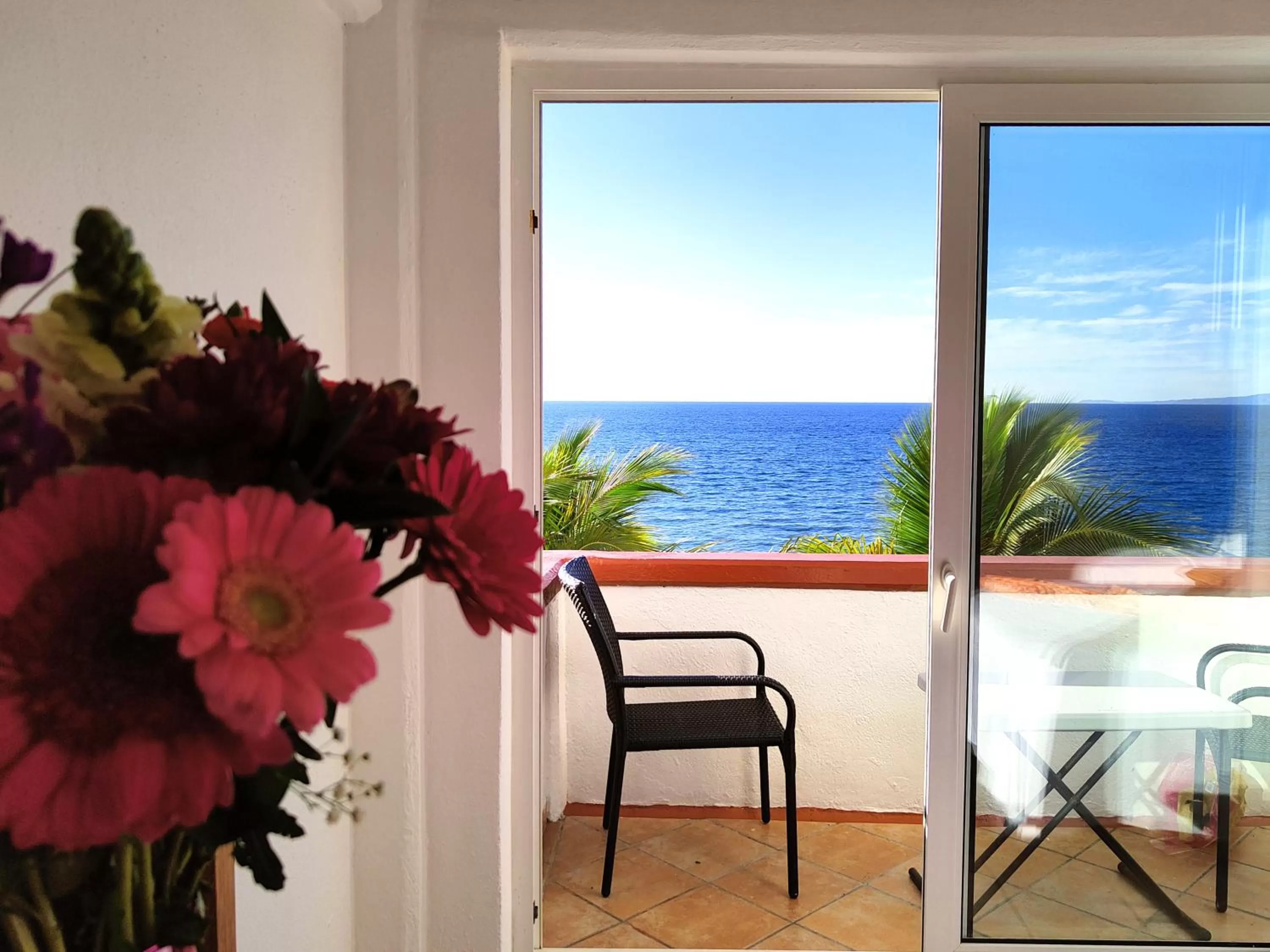 Natural landscape in Hotel El Pescador