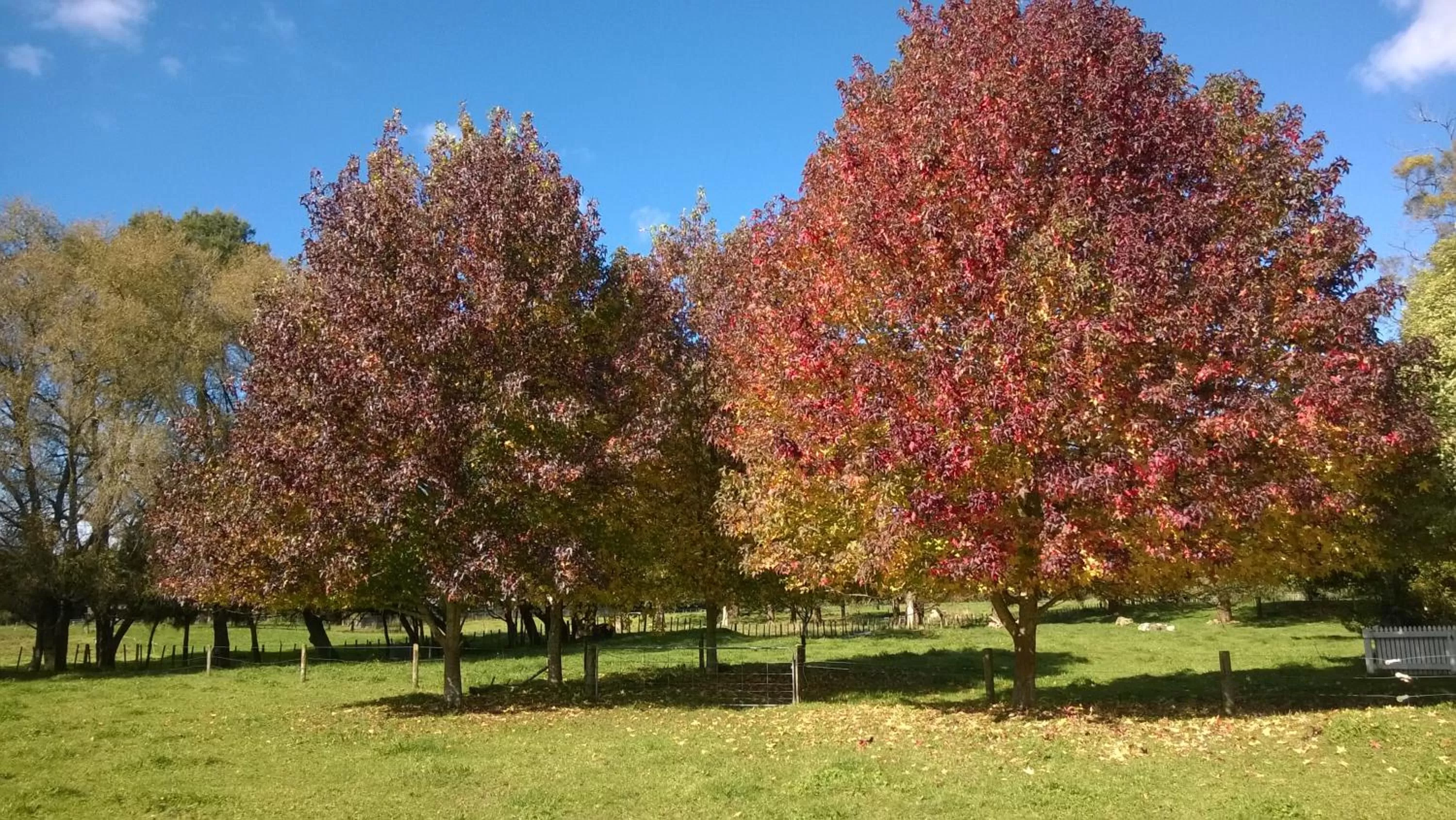 Natural landscape, Garden in Korbaylen Estate