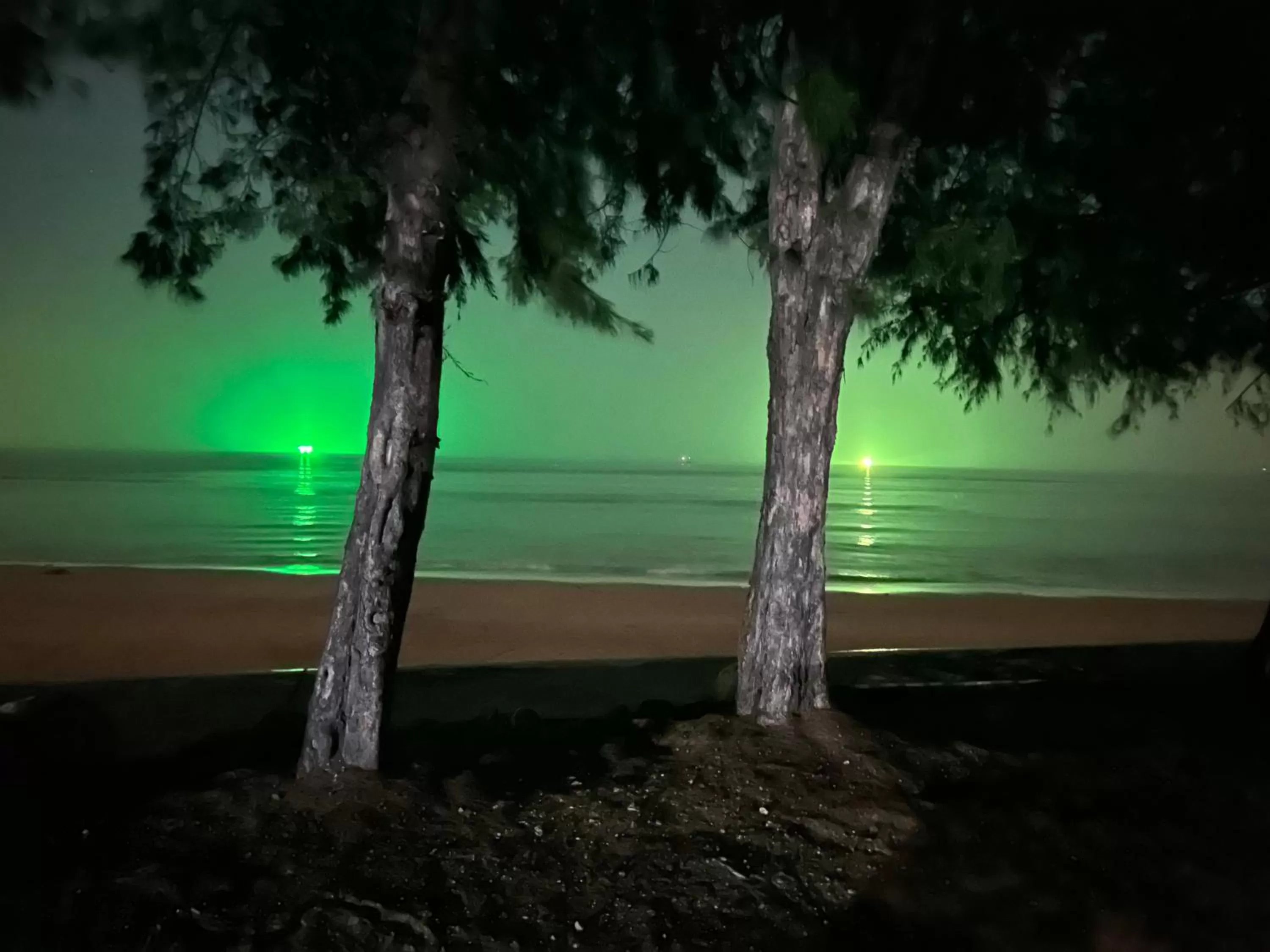 Beach in BC Summer Beach