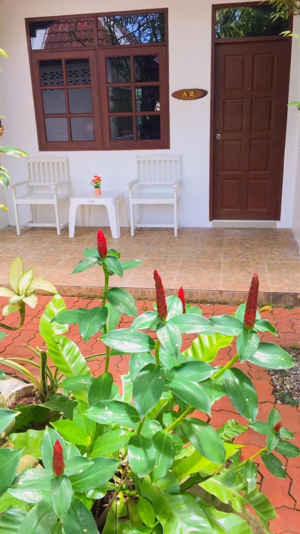 Garden view in Garden Home Kata