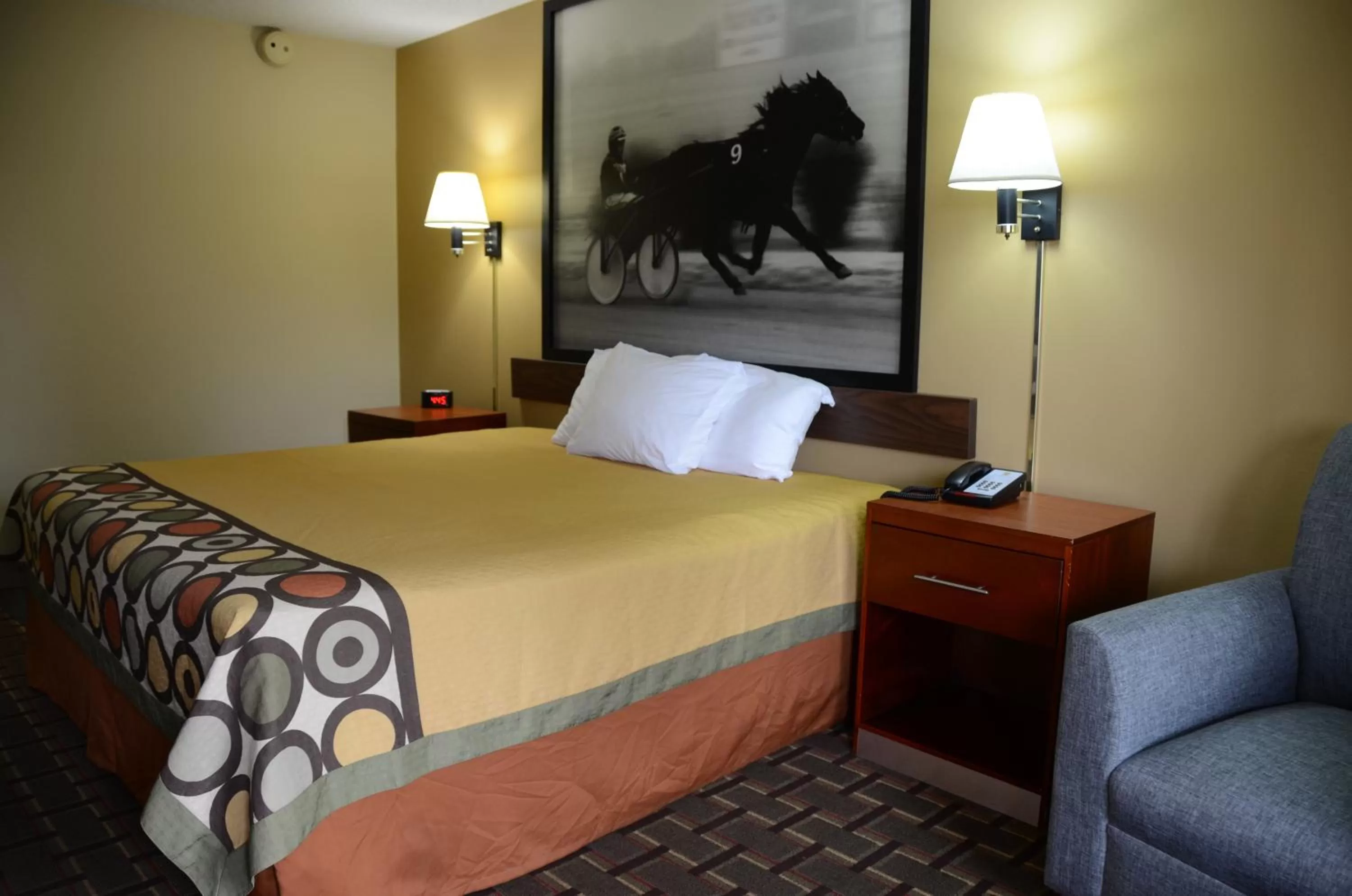 Bed in Super 8 by Wyndham Franklin Hwy 31