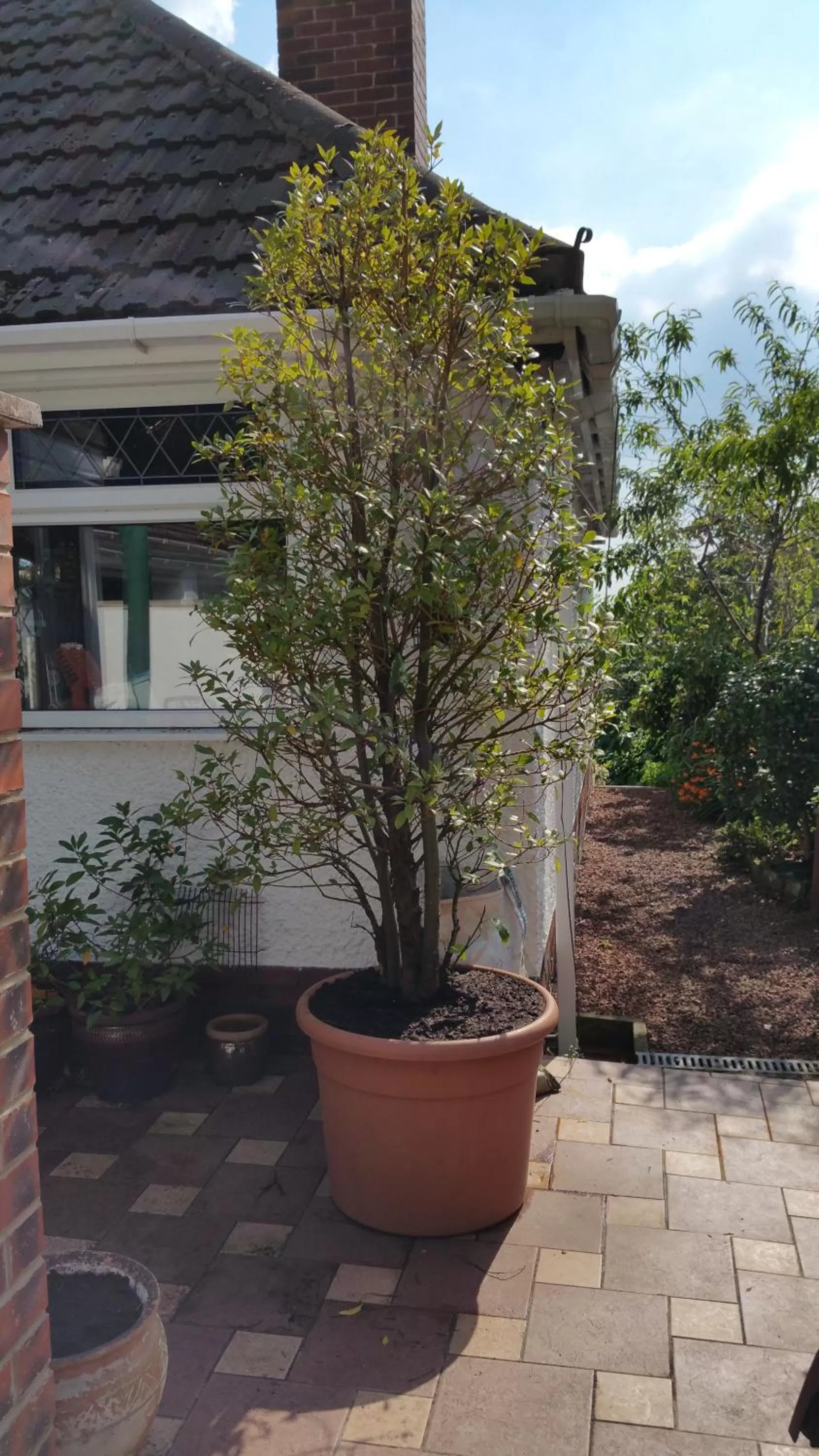 Property building in Best Area Close to Leeds Centre