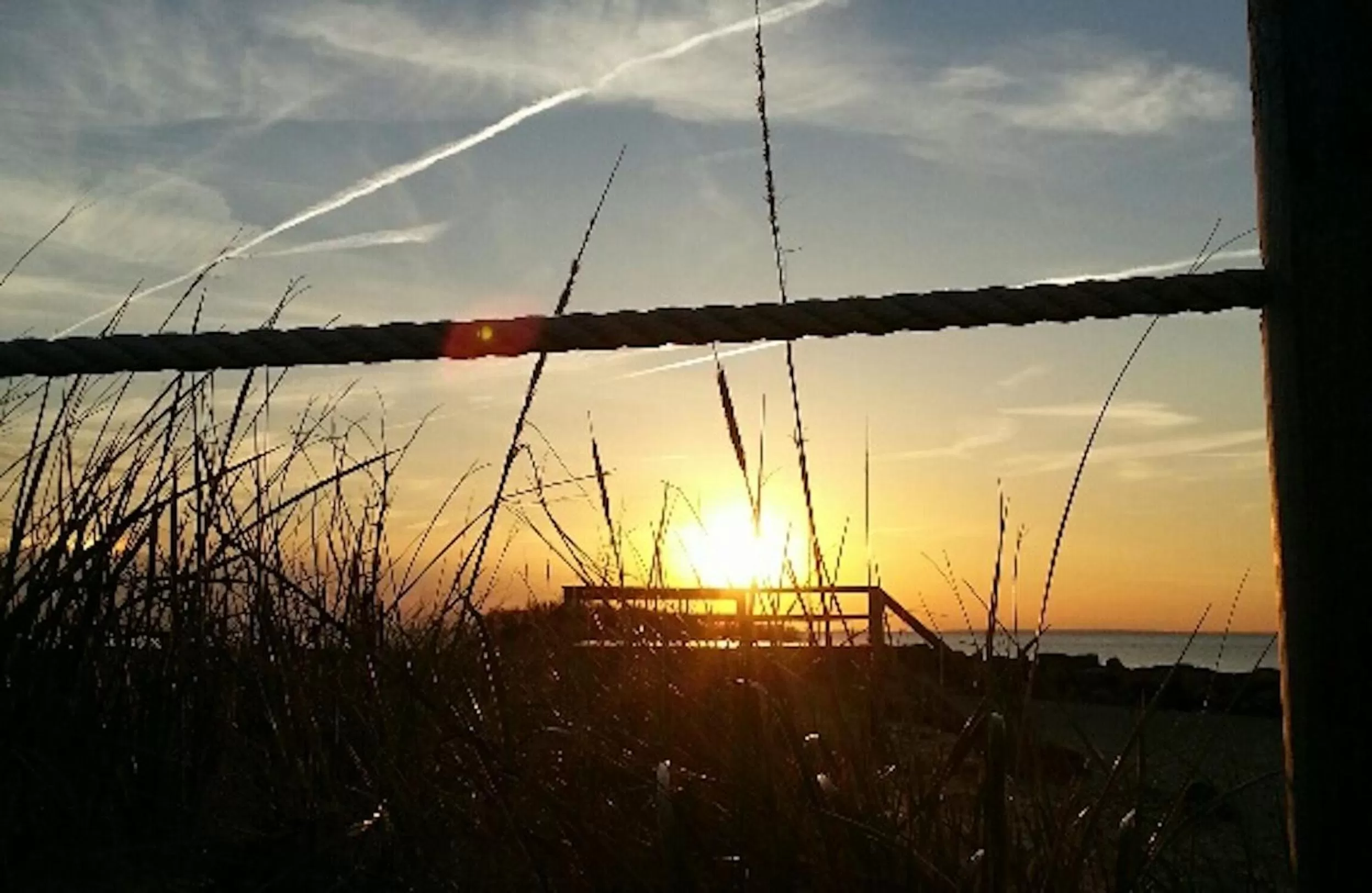 Animals in Starlight Lodge Cape Cod