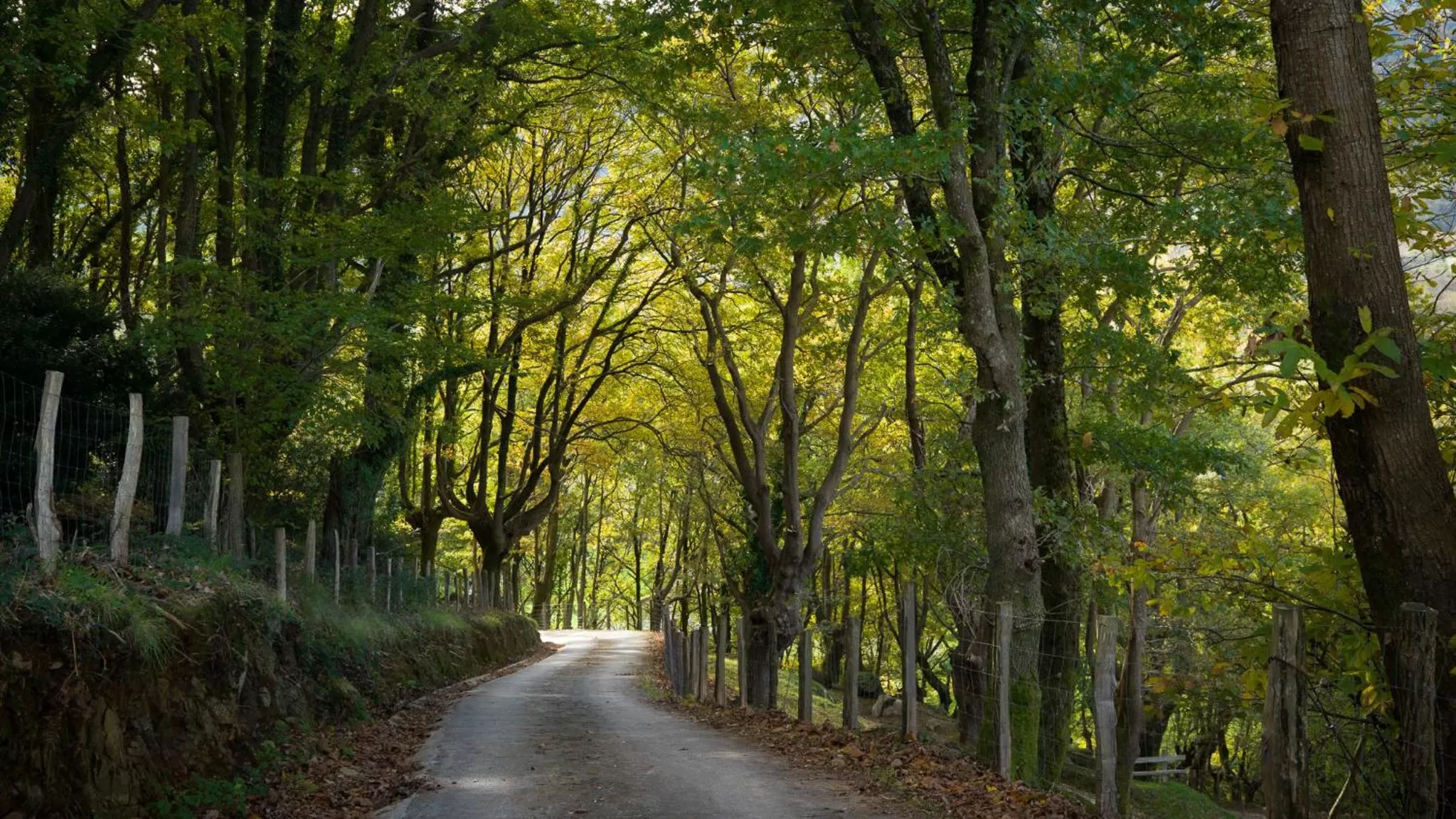 Off site, Natural Landscape in Arantza Hotela- Adults Only