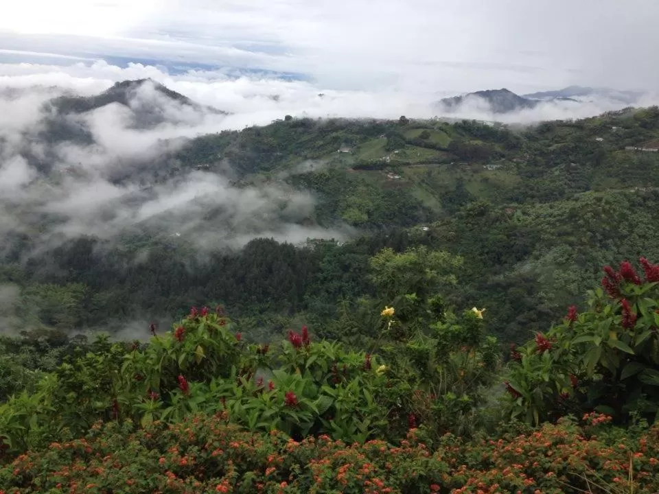 Natural Landscape in Mirador Finca Morrogacho