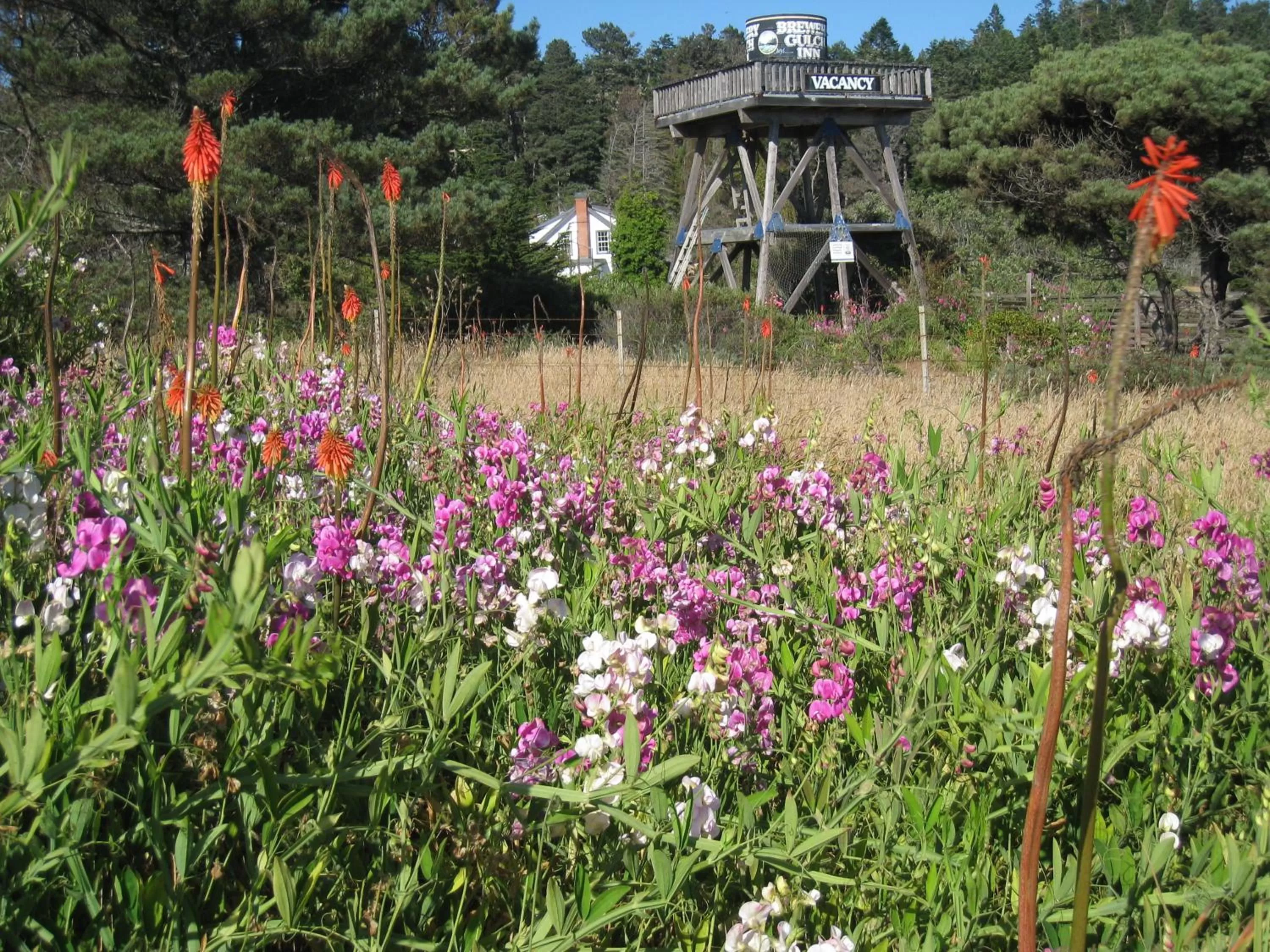 Facade/entrance in Brewery Gulch Inn & Spa