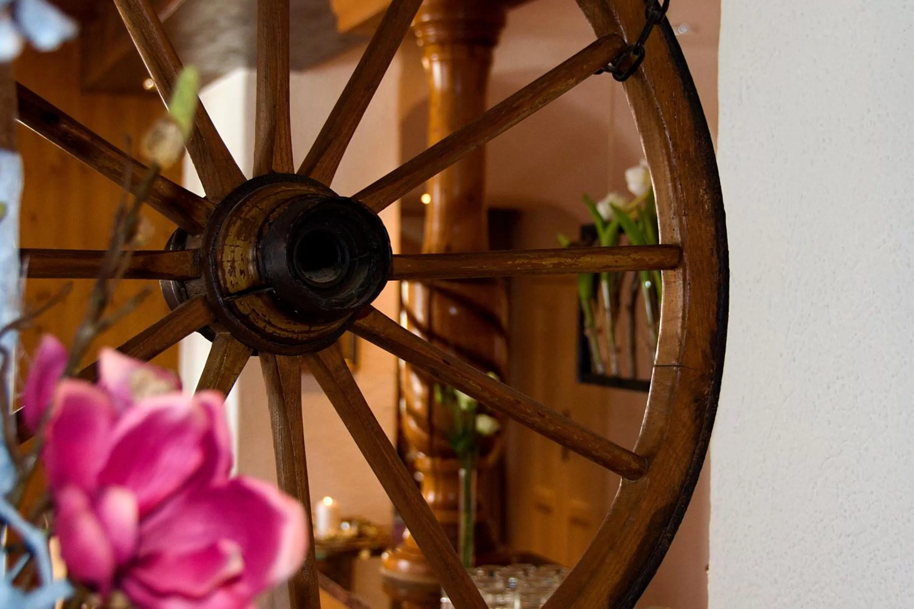 Other in Hotel Frauensteiner Hof