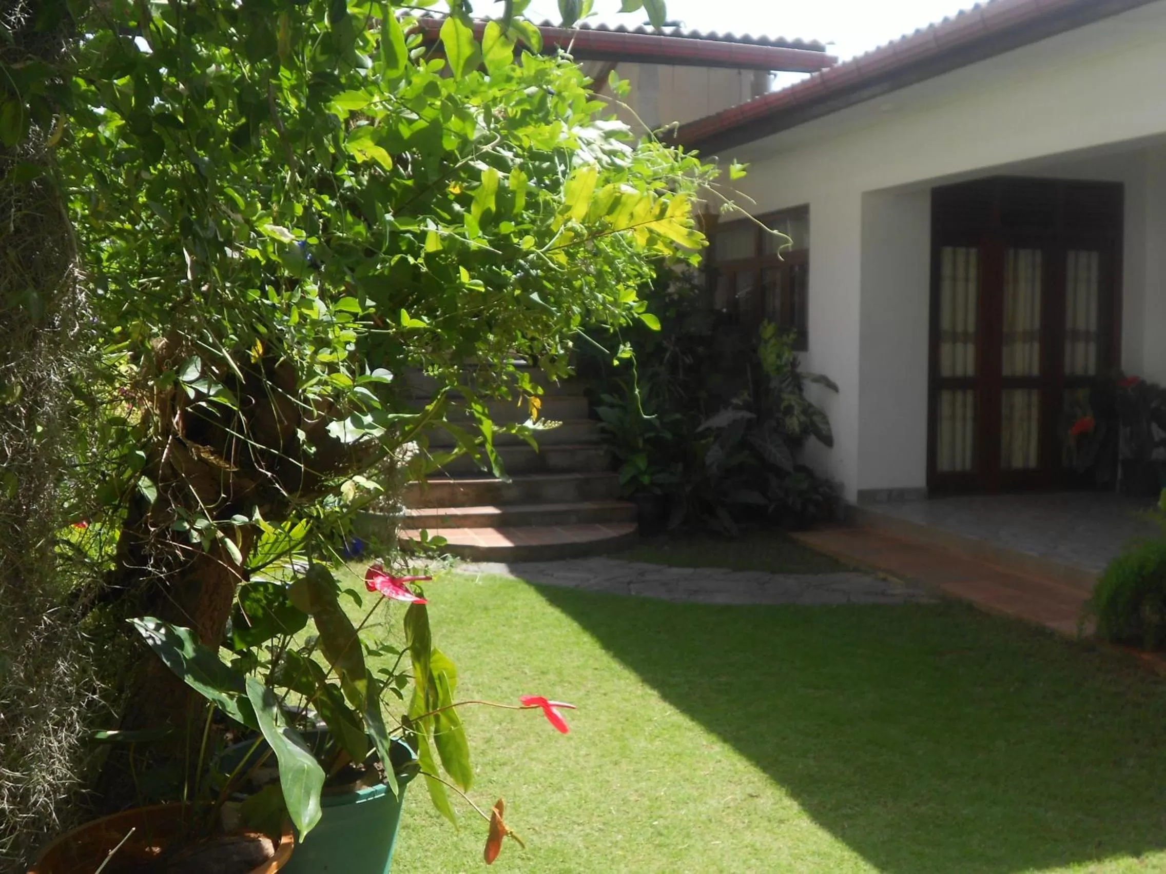 Day, Garden in Resort Beam