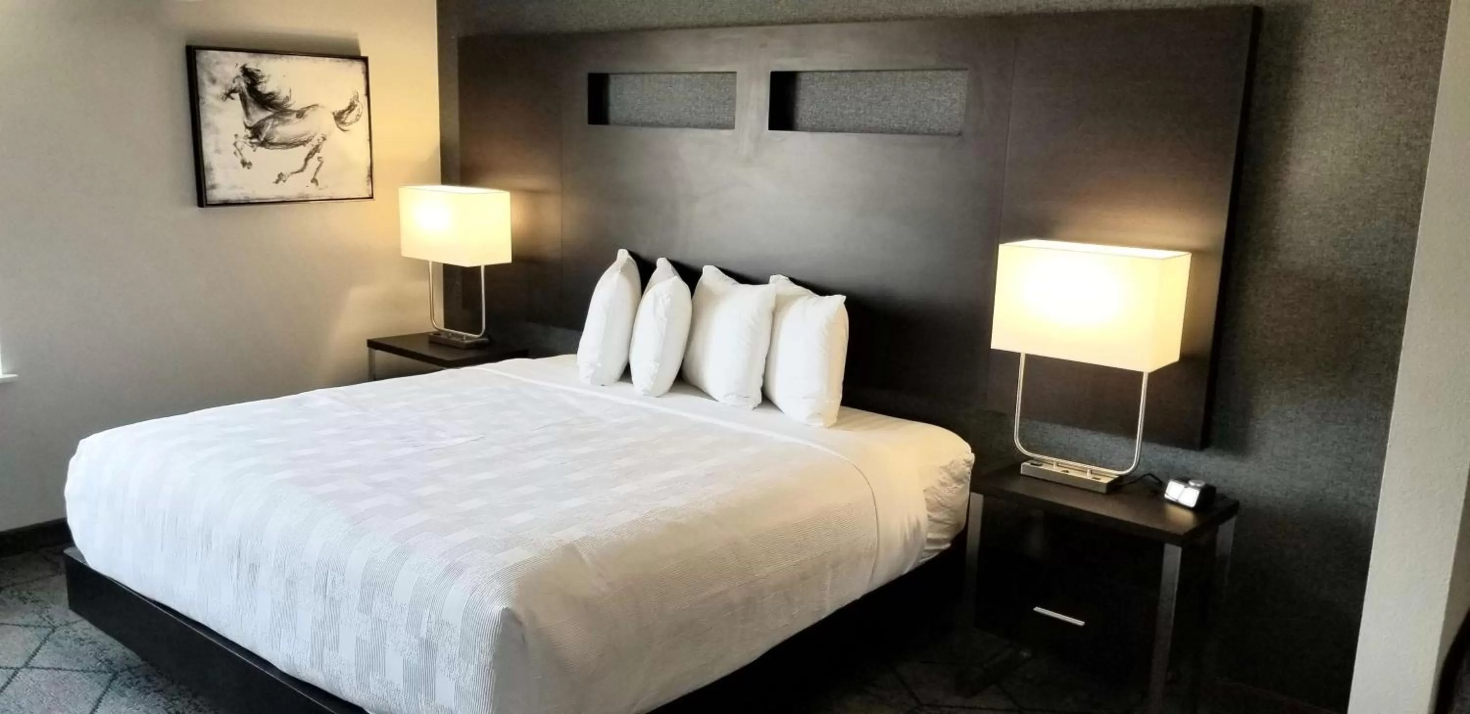 King Room with Roll-In Shower - Disability Access and Kitchenette in Best Western Plus Louisville North