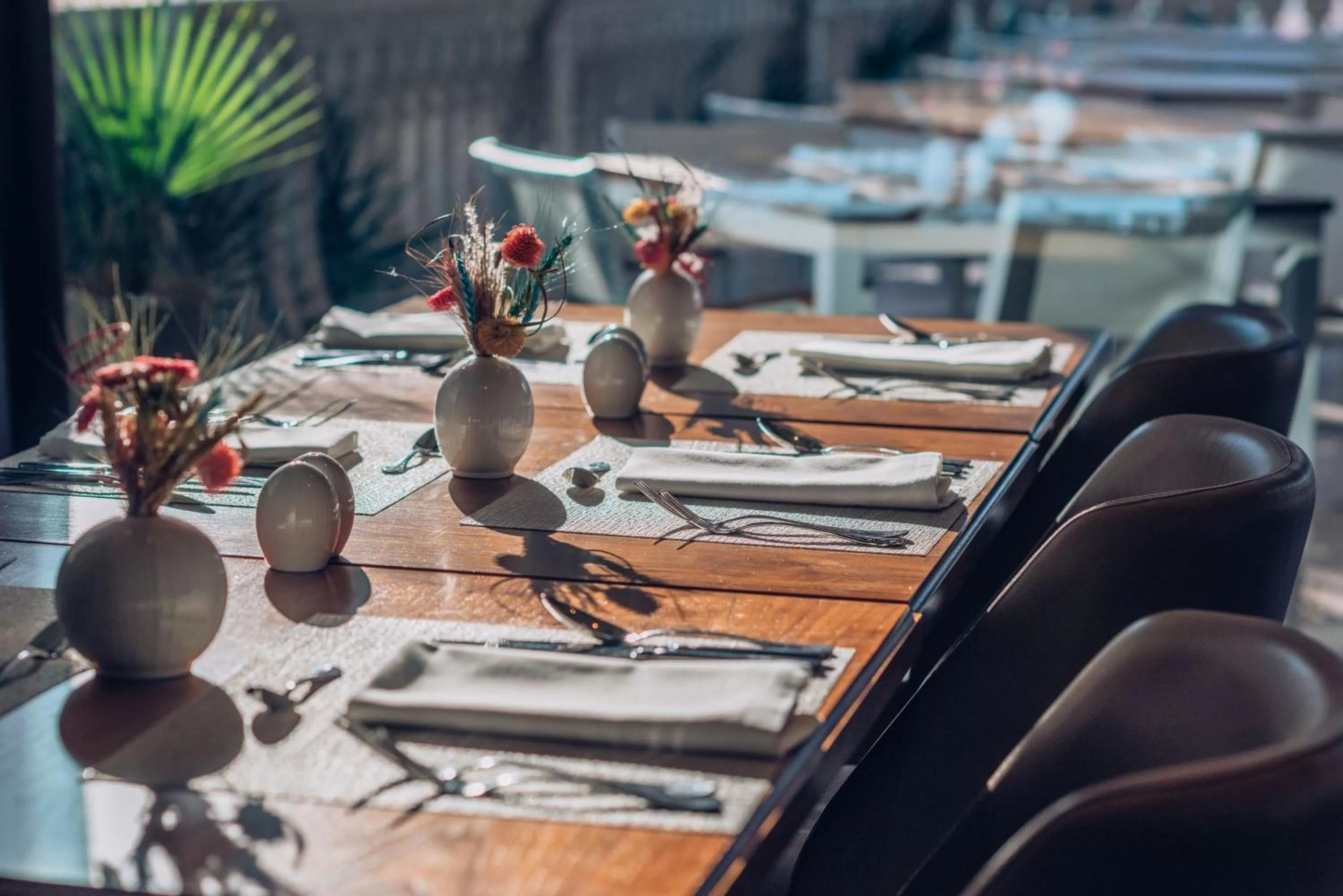 Restaurant/places to eat in Iberostar Waves Slavija