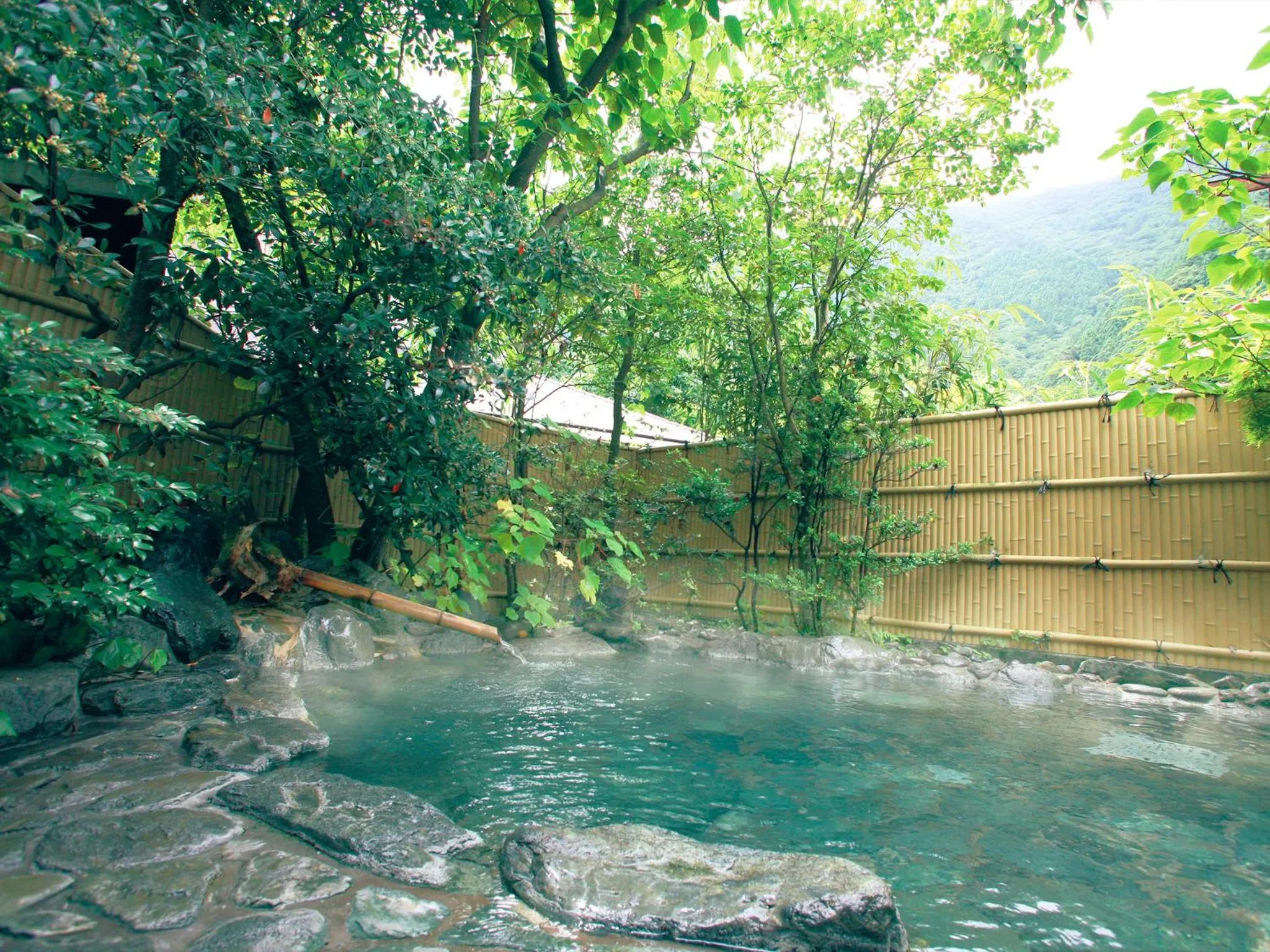 Hot Spring Bath in Suikoen