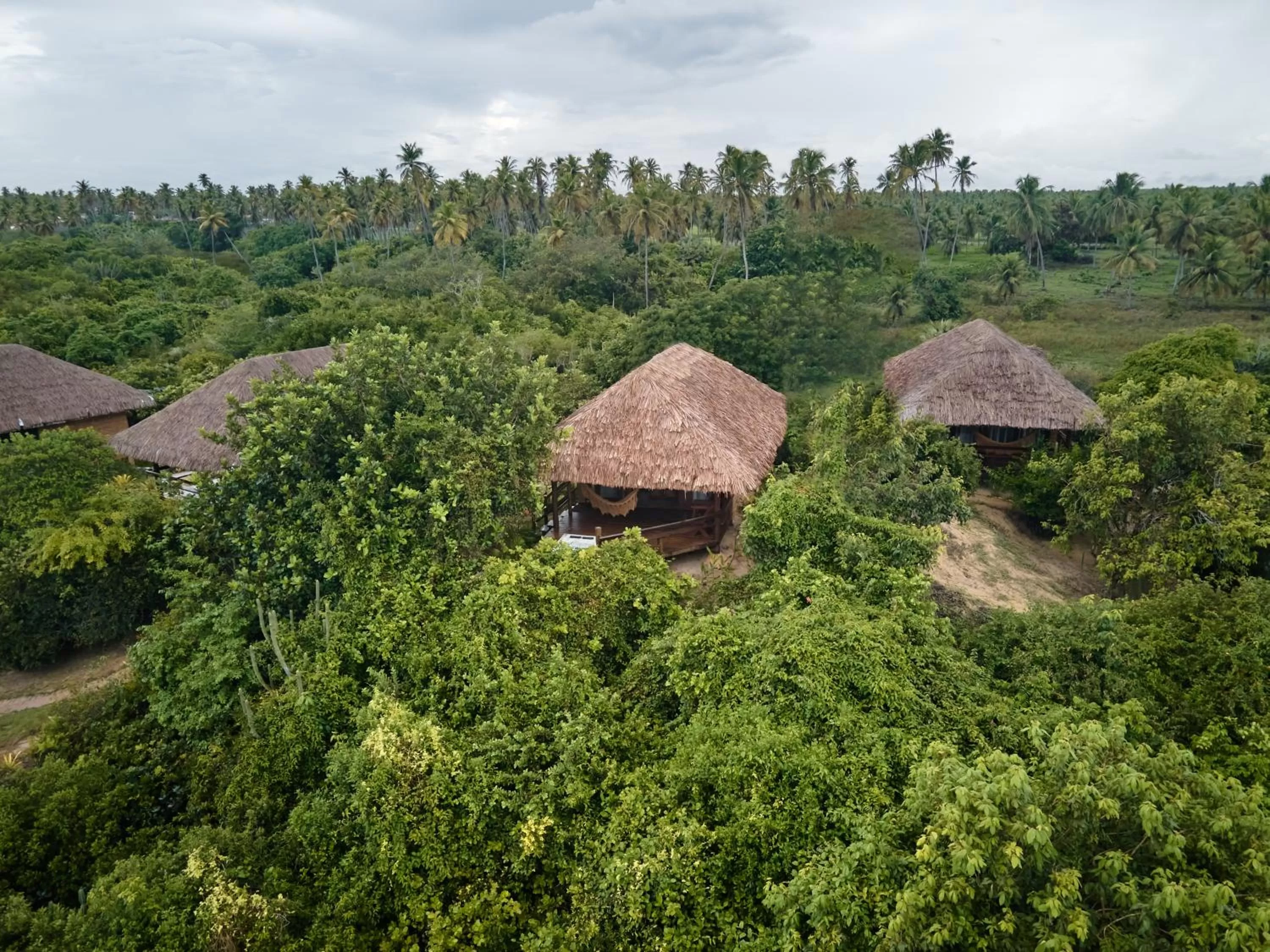 Day, Bird's-eye View in Kauli Seadi Beach Hotel
