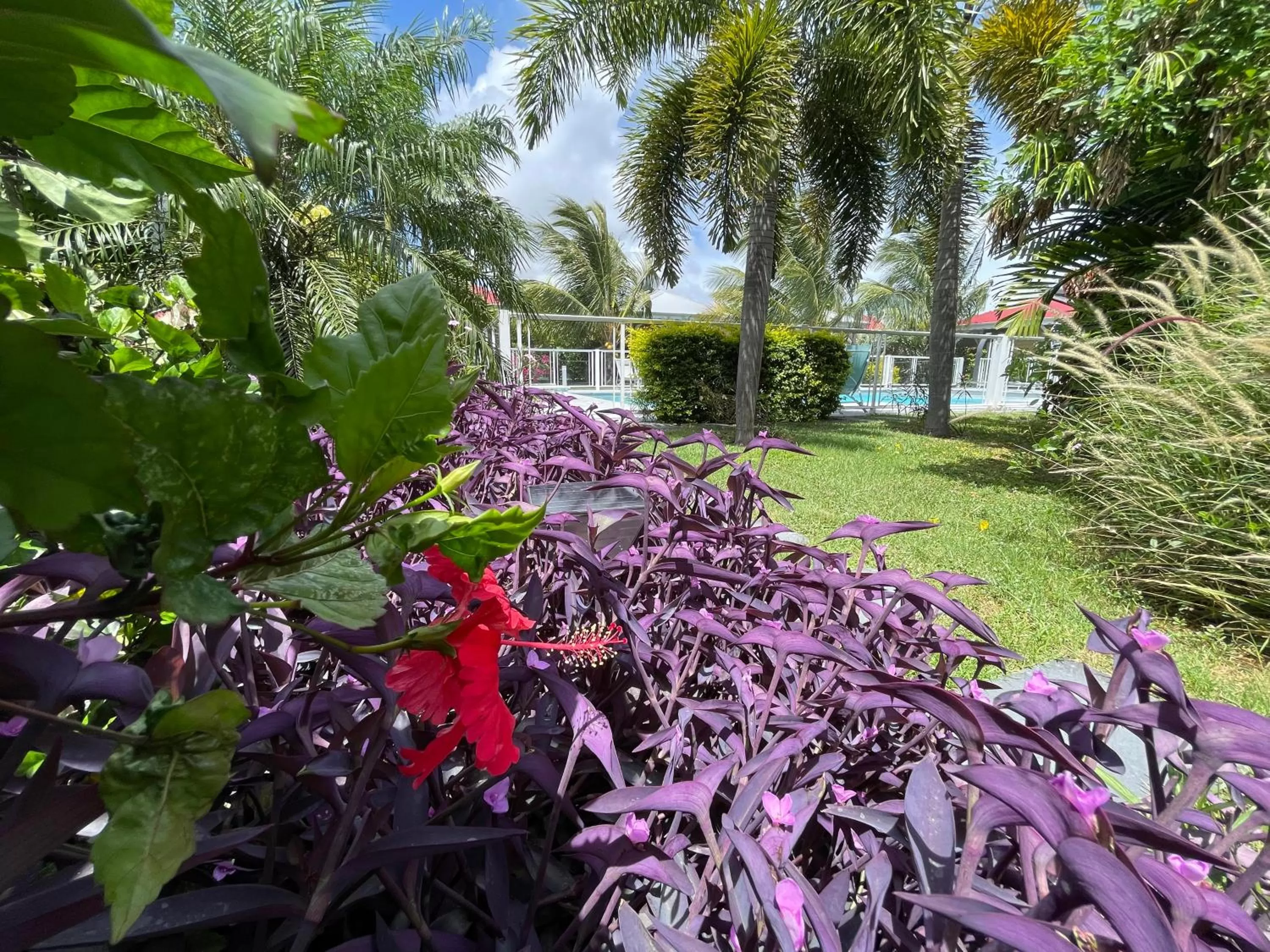 Hôtel & Villa Le Cocotel