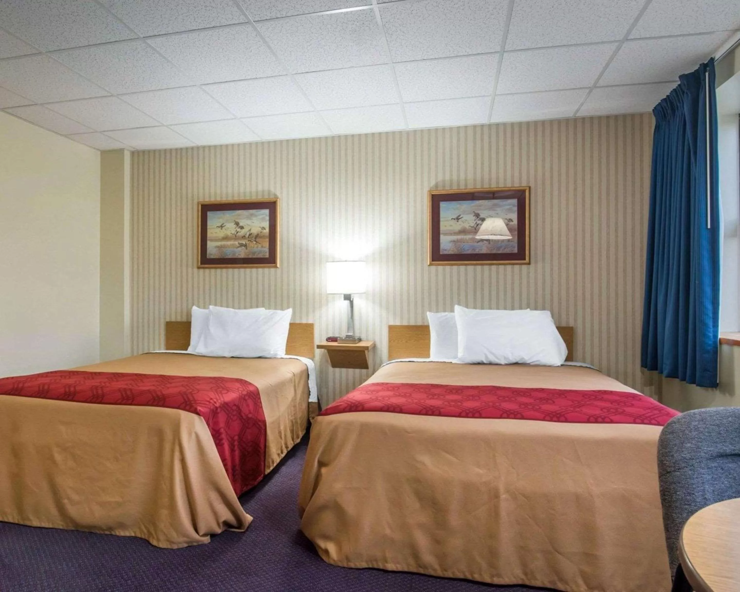 Photo of the whole room, Bed in Econo Lodge Manchester