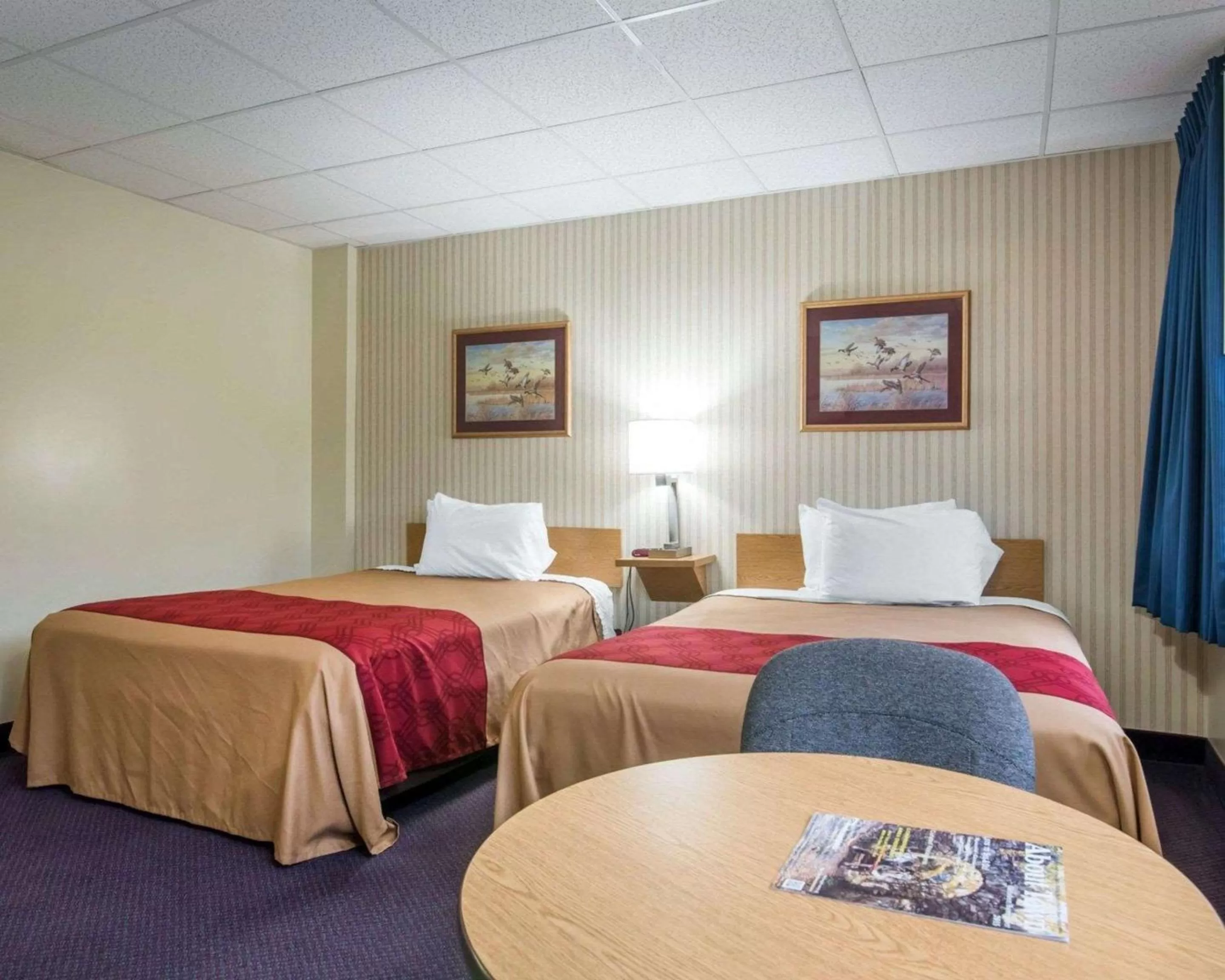 Photo of the whole room, Bed in Econo Lodge Manchester