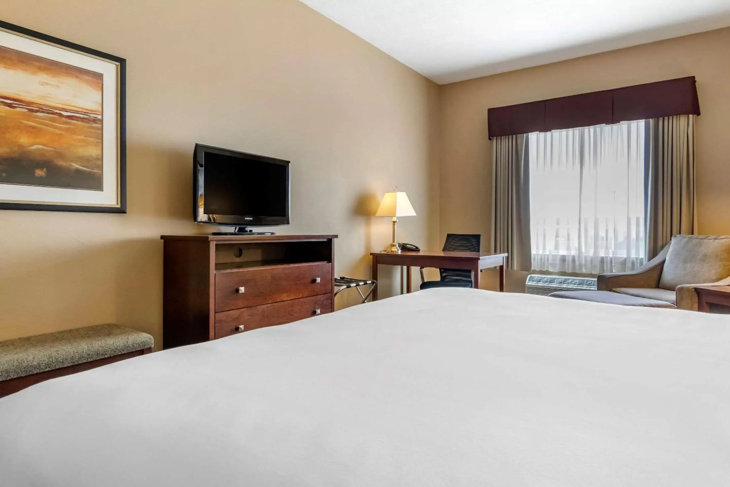 Standard King Room - Non-Smoking in Quality Inn & Suites Standard King Room - Non-Smoking in Quality Inn & Suites