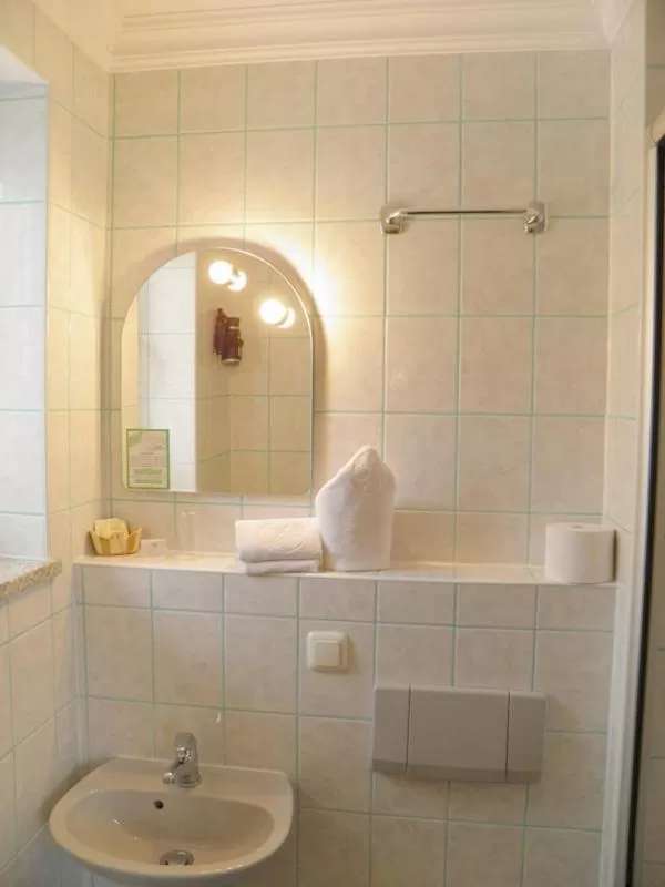 Bathroom in Donau-Hotel