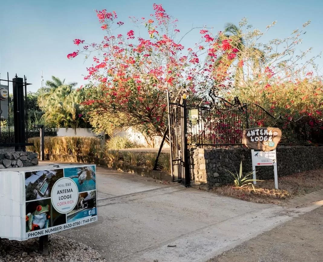 Antema Lodge Secteur Tamarindo, piscine, yoga, gym, jungle et paix