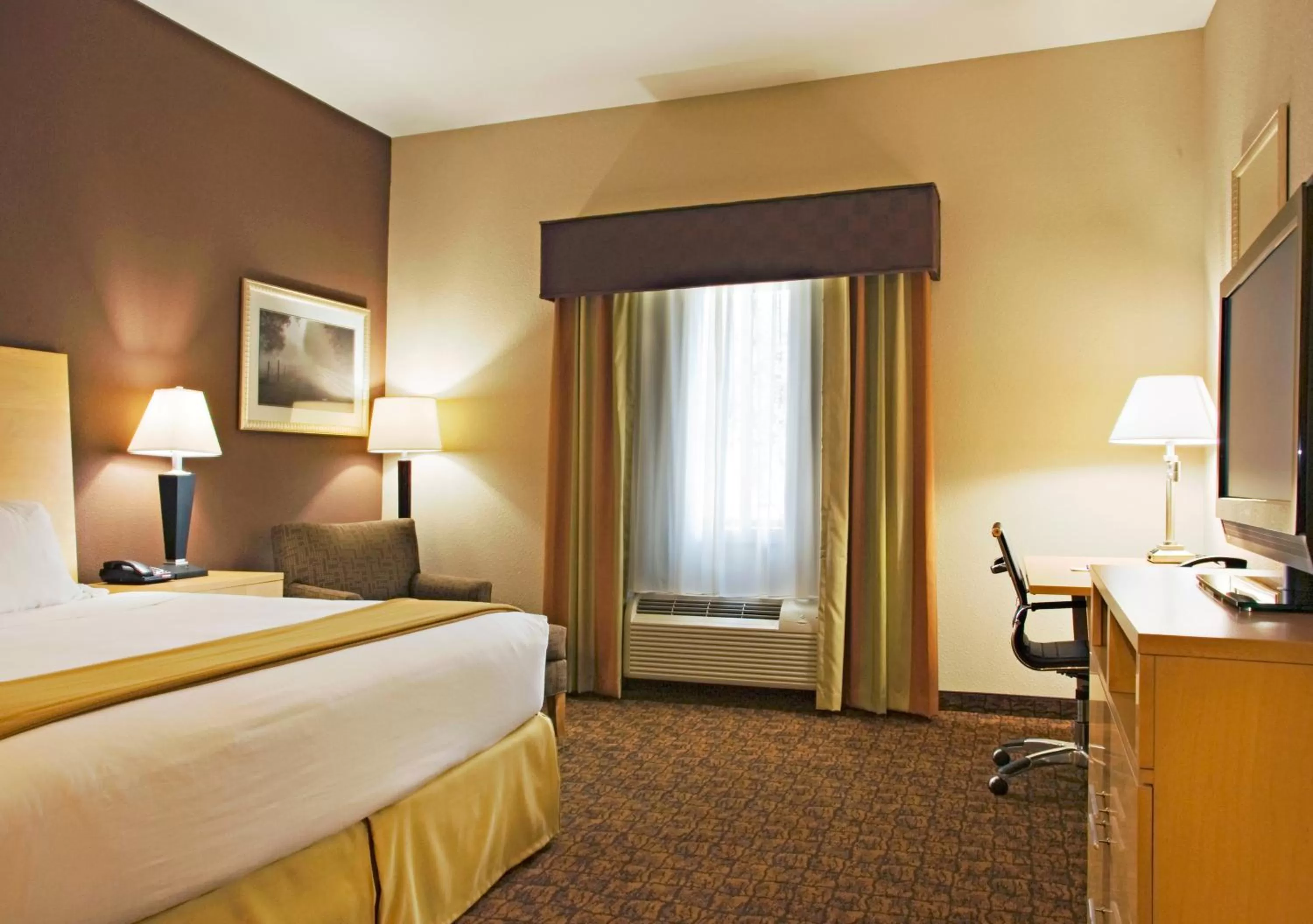 Photo of the whole room, Bed in Holiday Inn Express Hotel and Suites Borger by IHG