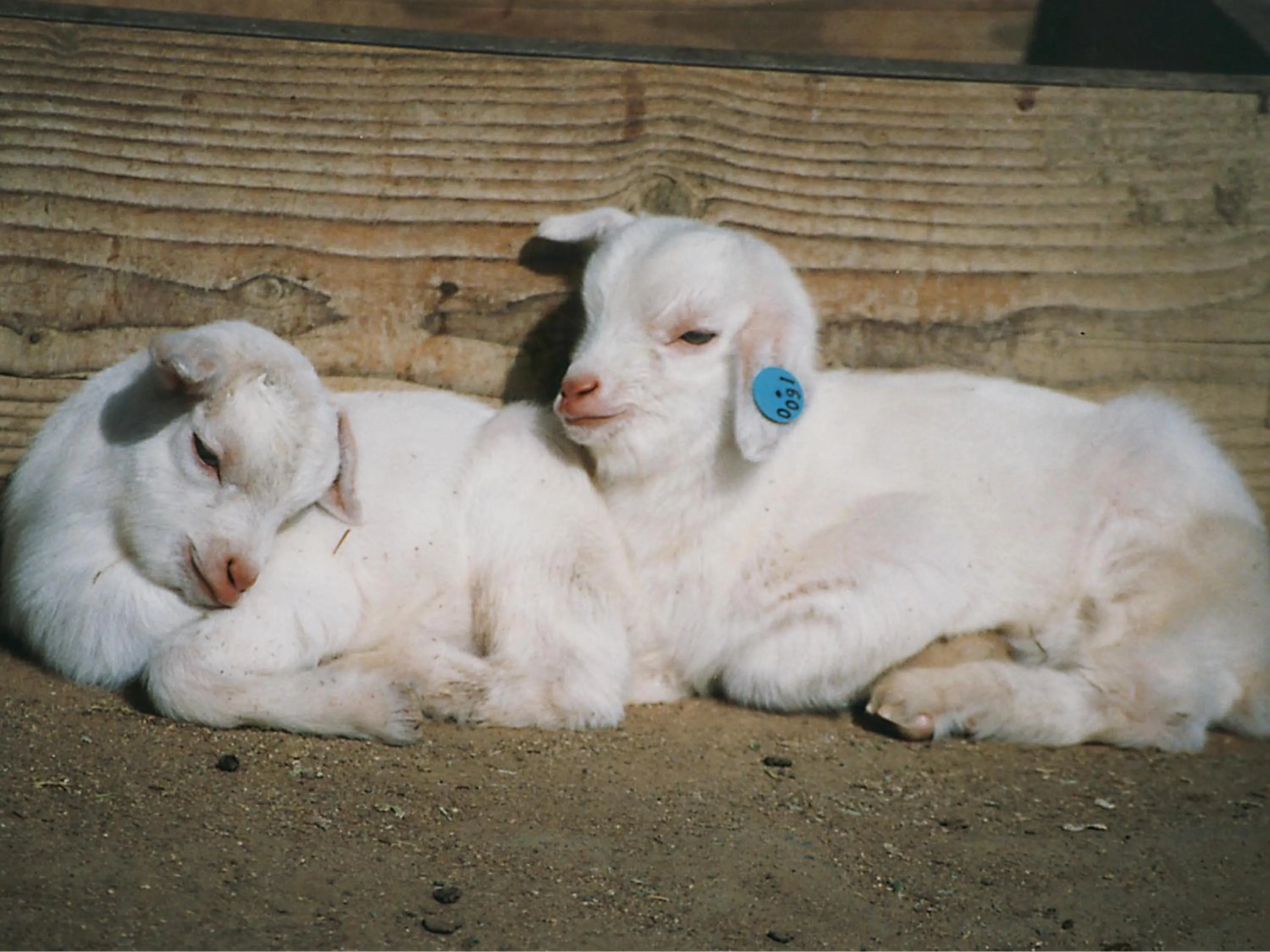 Nearby landmark in KOKO HOTEL Higashiosaka - formerly Hotel Wing International Select Higashi Osaka
