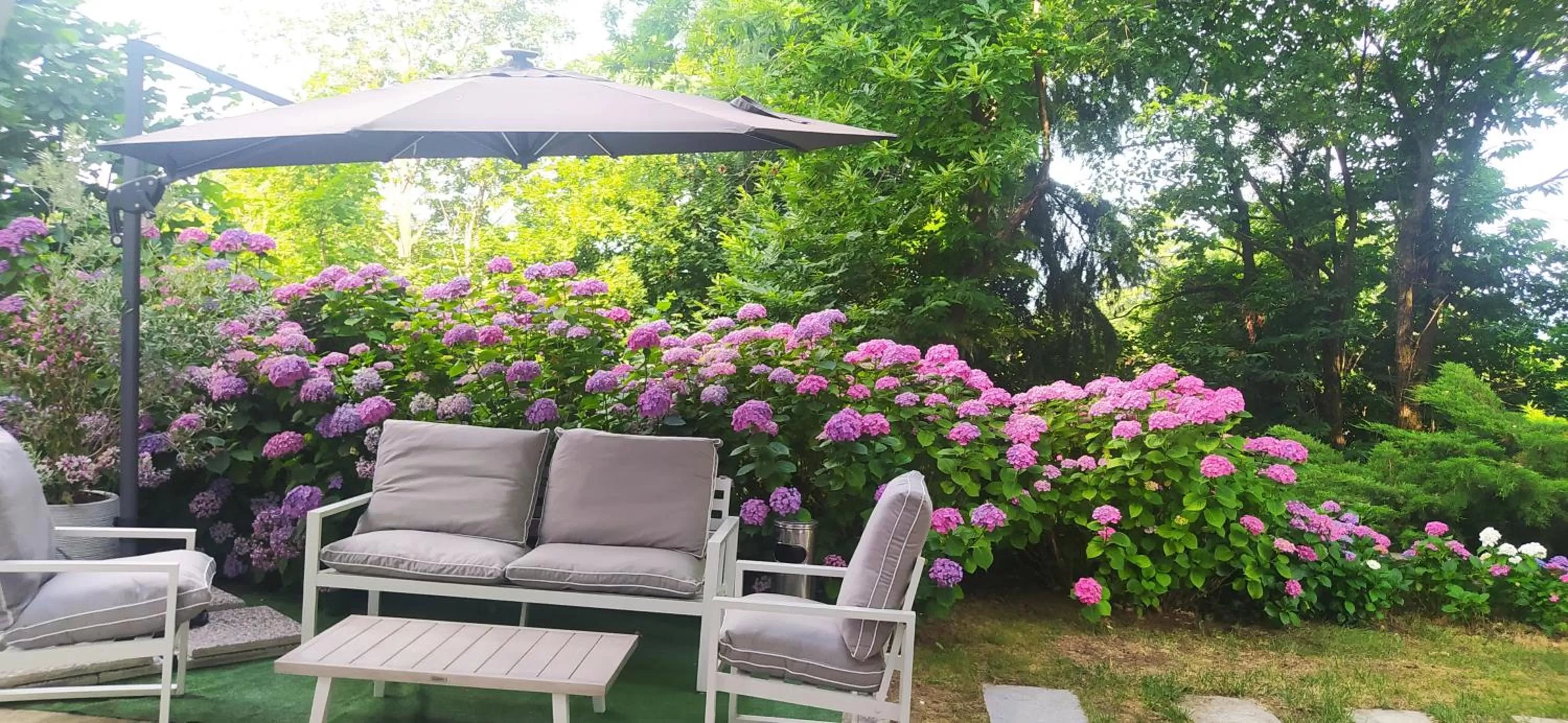 "La Selvetta" bed and breakfast