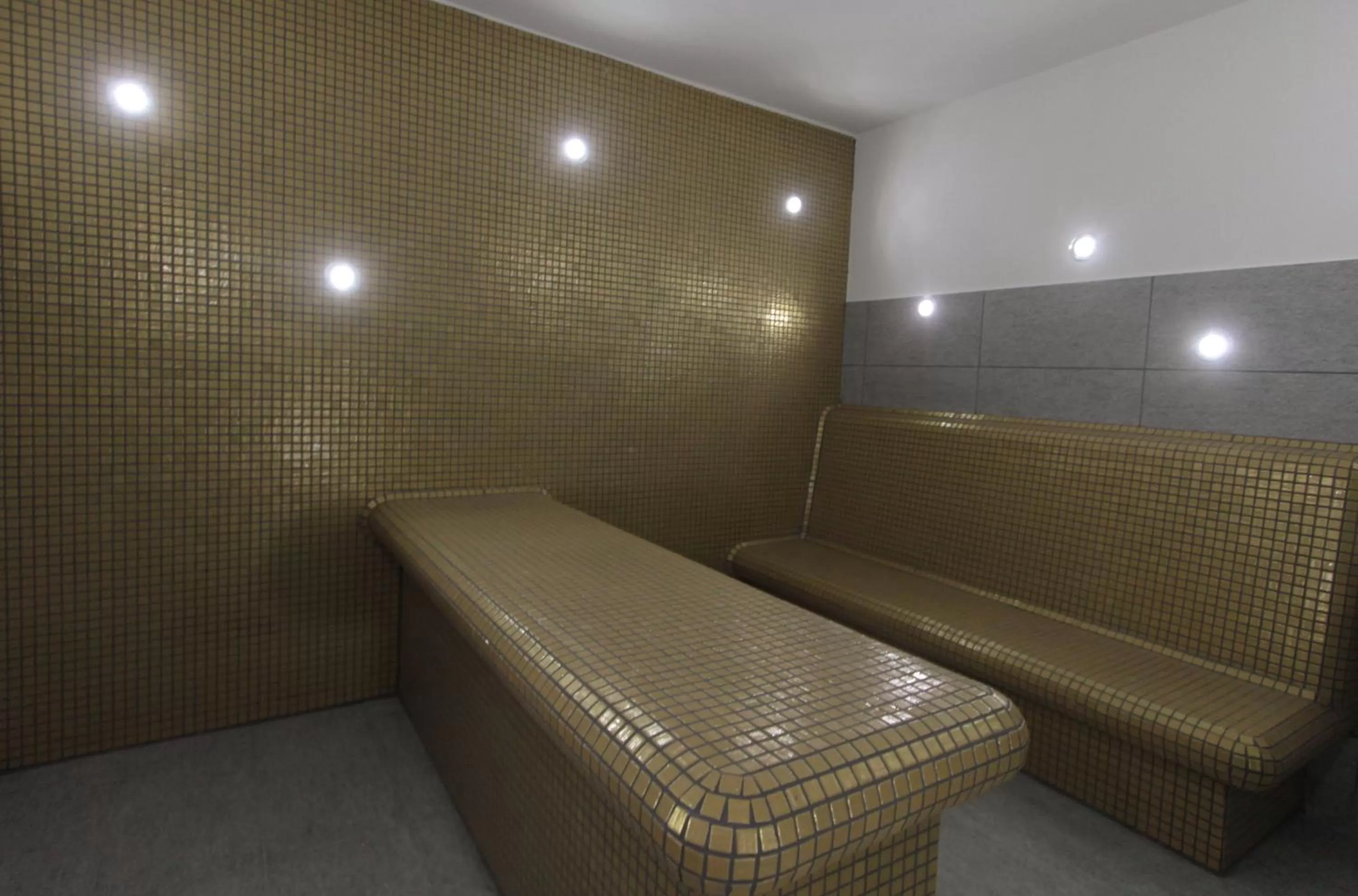 Steam room in Hotel Aurum Family "A"