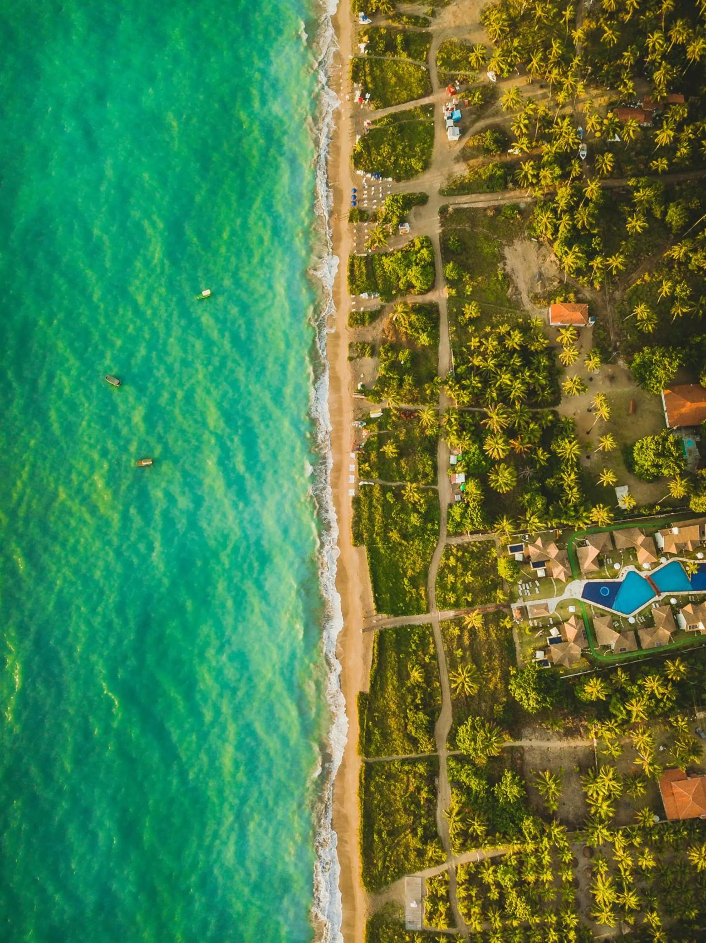 Natural landscape, Bird's-eye View in Pousada Rangai