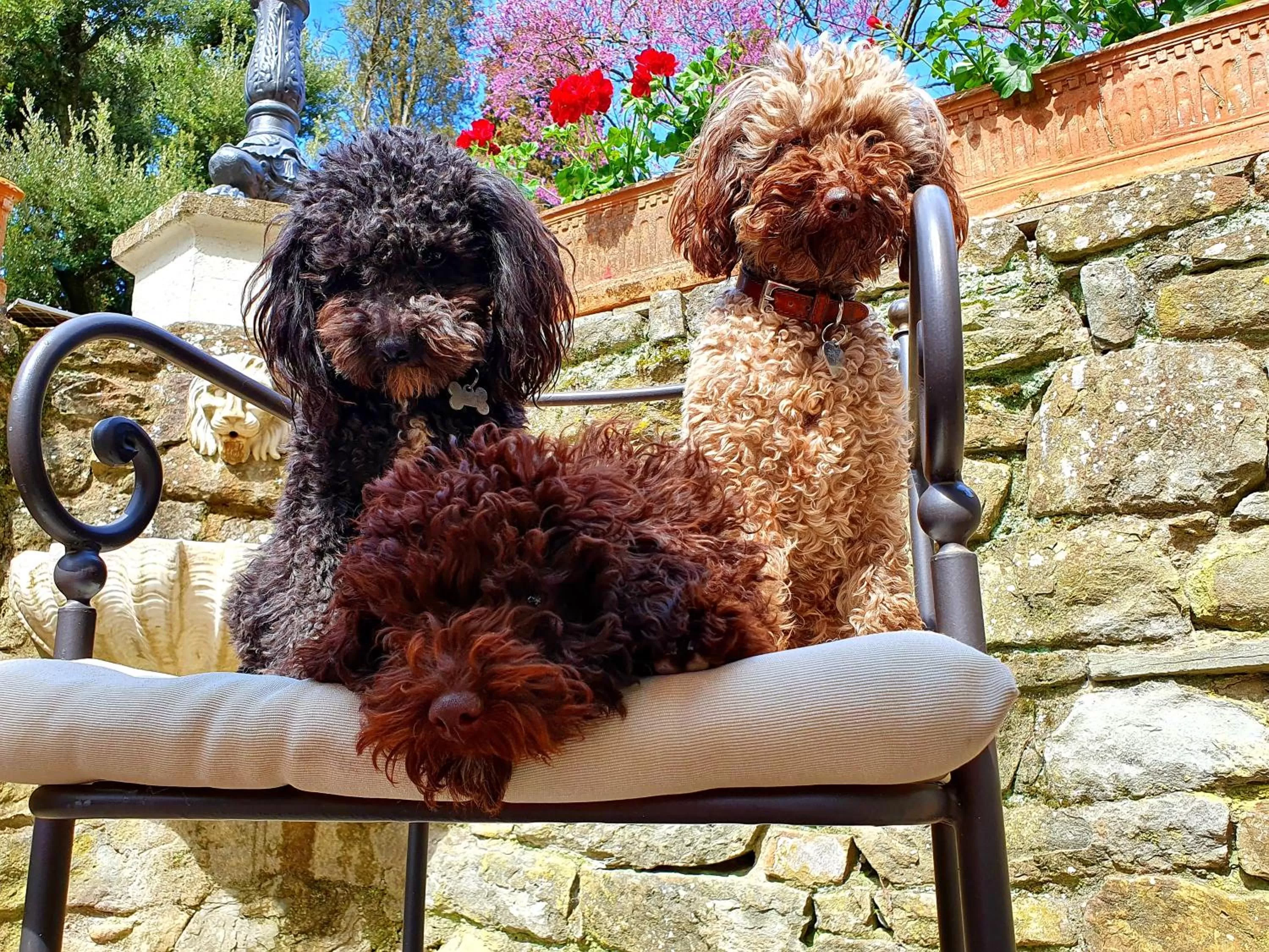 Staff in Villa Nardi - Residenza D'Epoca