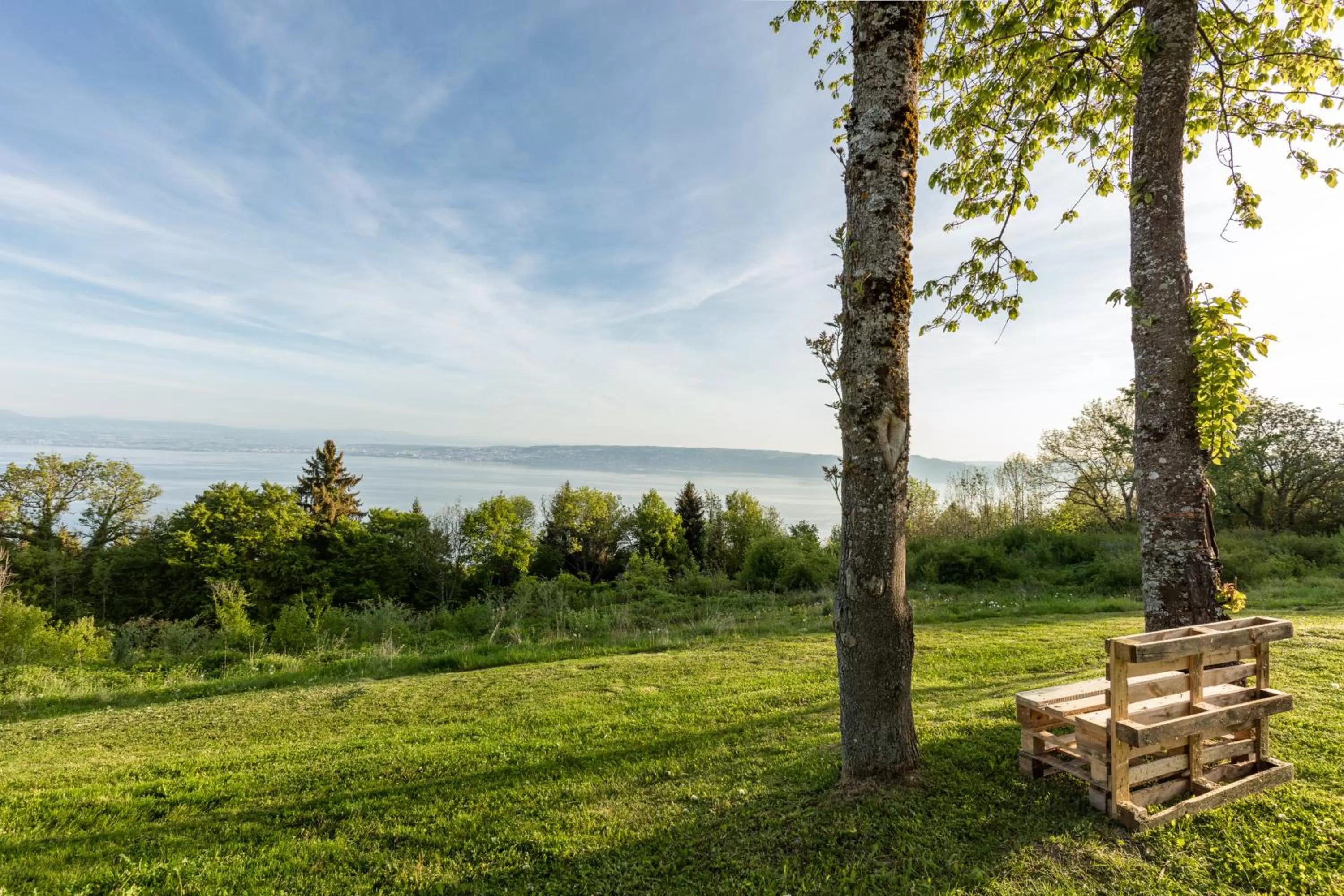 Lake view in Garden & City Evian - Lugrin