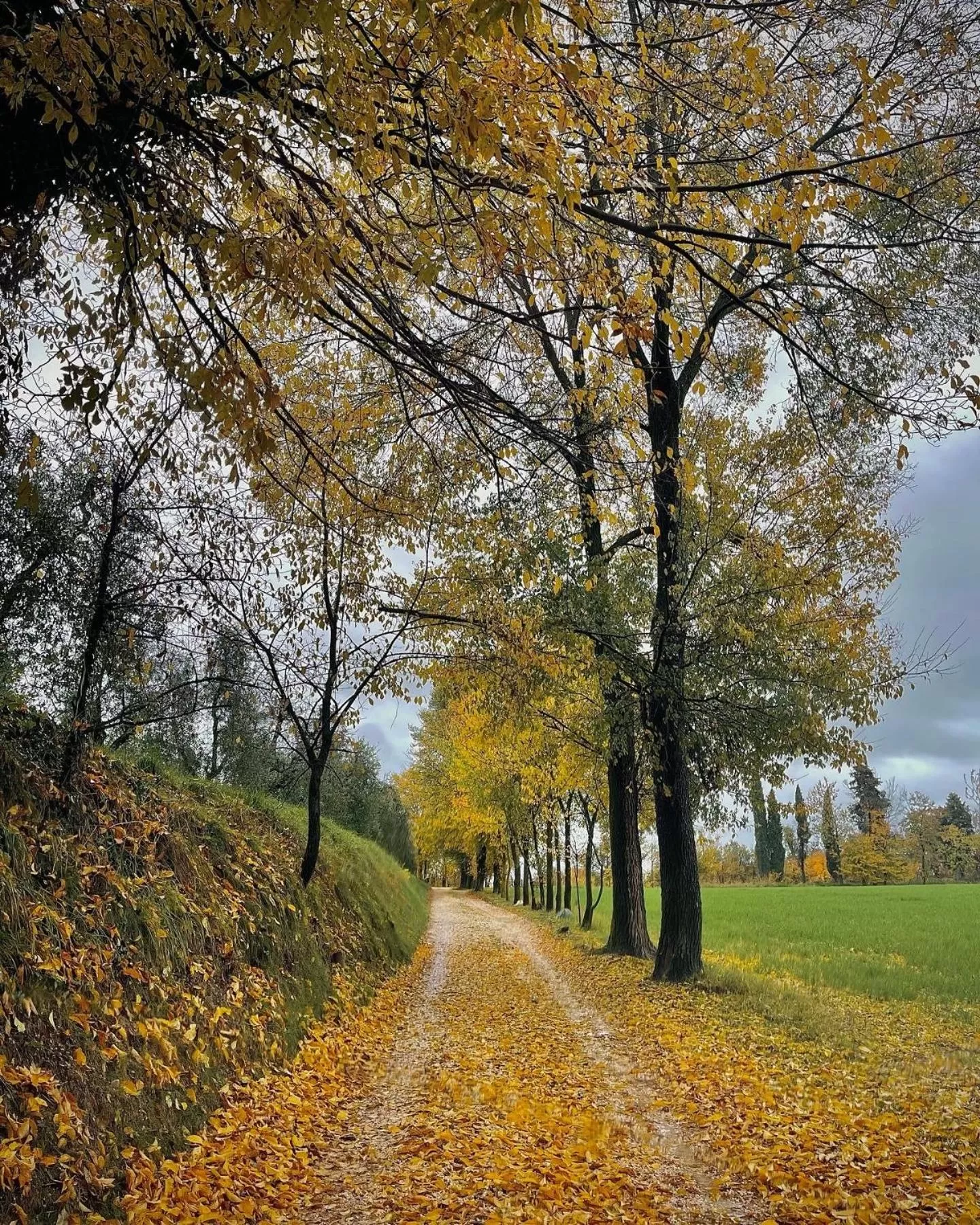 Garden in B&B Sovenigo