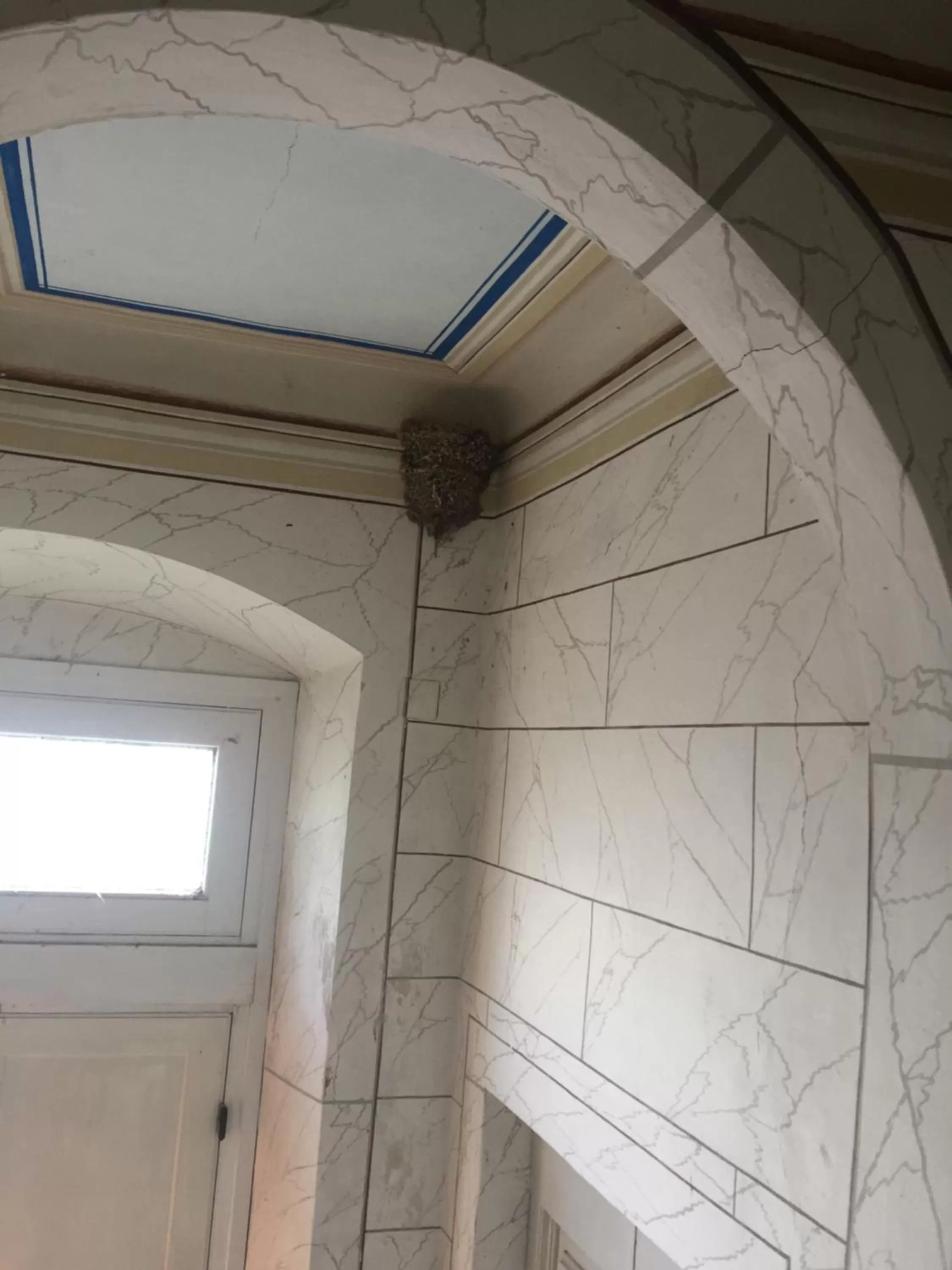 Animals in Villa Eugenia