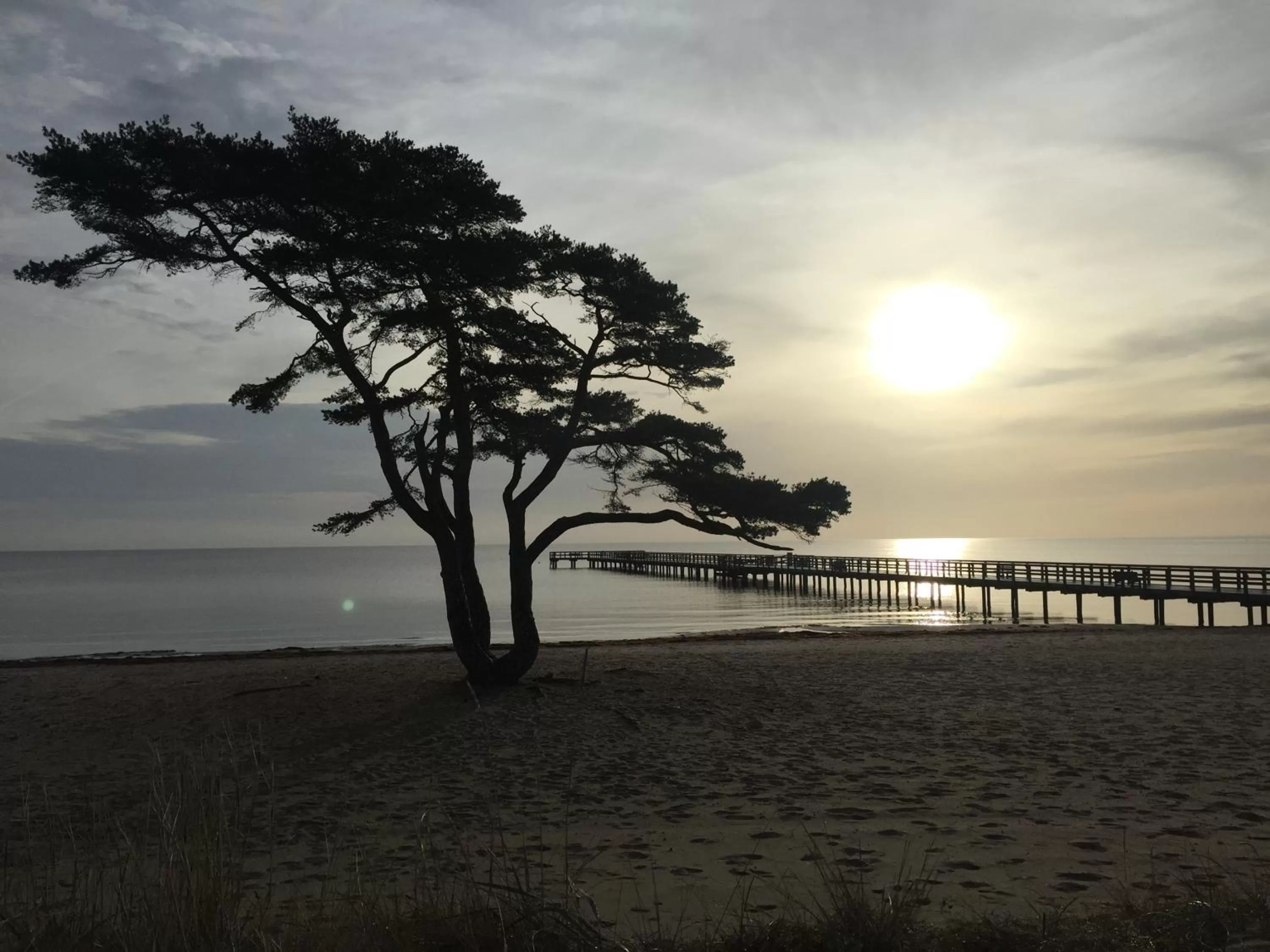 Beach in Åhus B&B och Vandrarhem