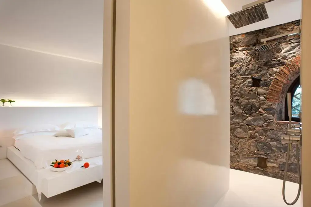 Standard Double Room in Zash Country Boutique hotel & SPA Standard Double Room in Zash Country Boutique hotel & SPA