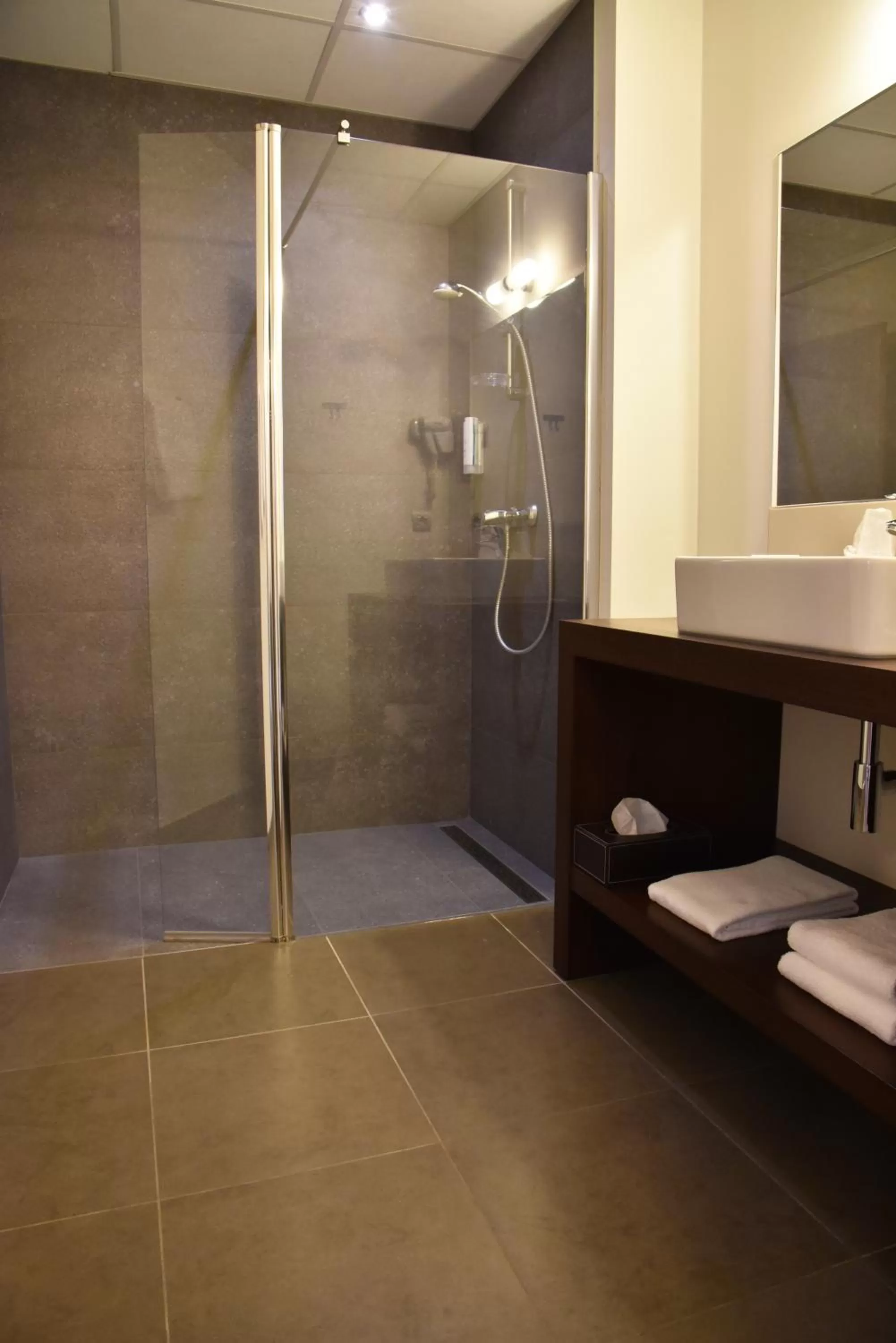 Shower in Hotel Saint Daniel