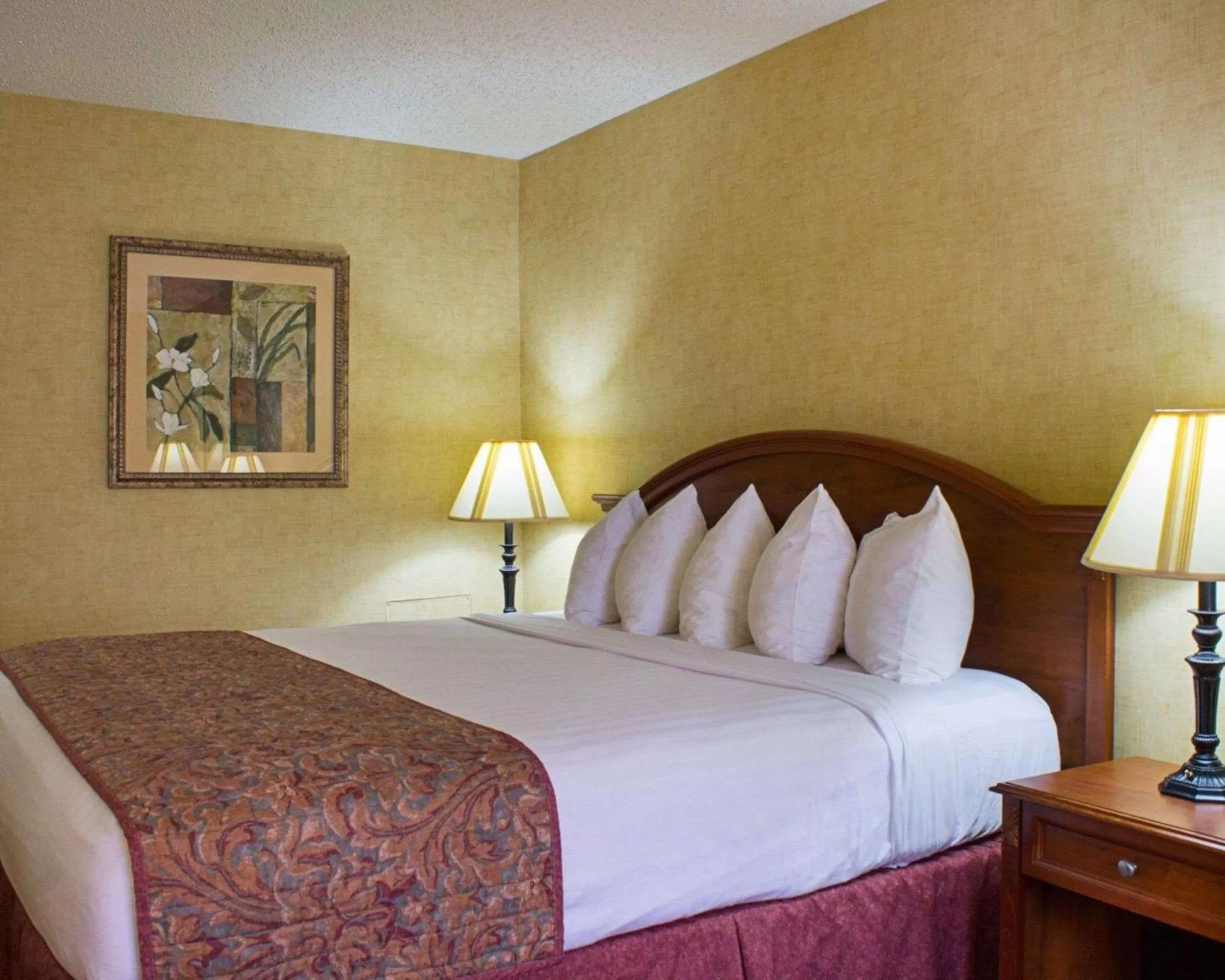 Photo of the whole room, Bed in Rodeway Inn Columbia Mall Loop
