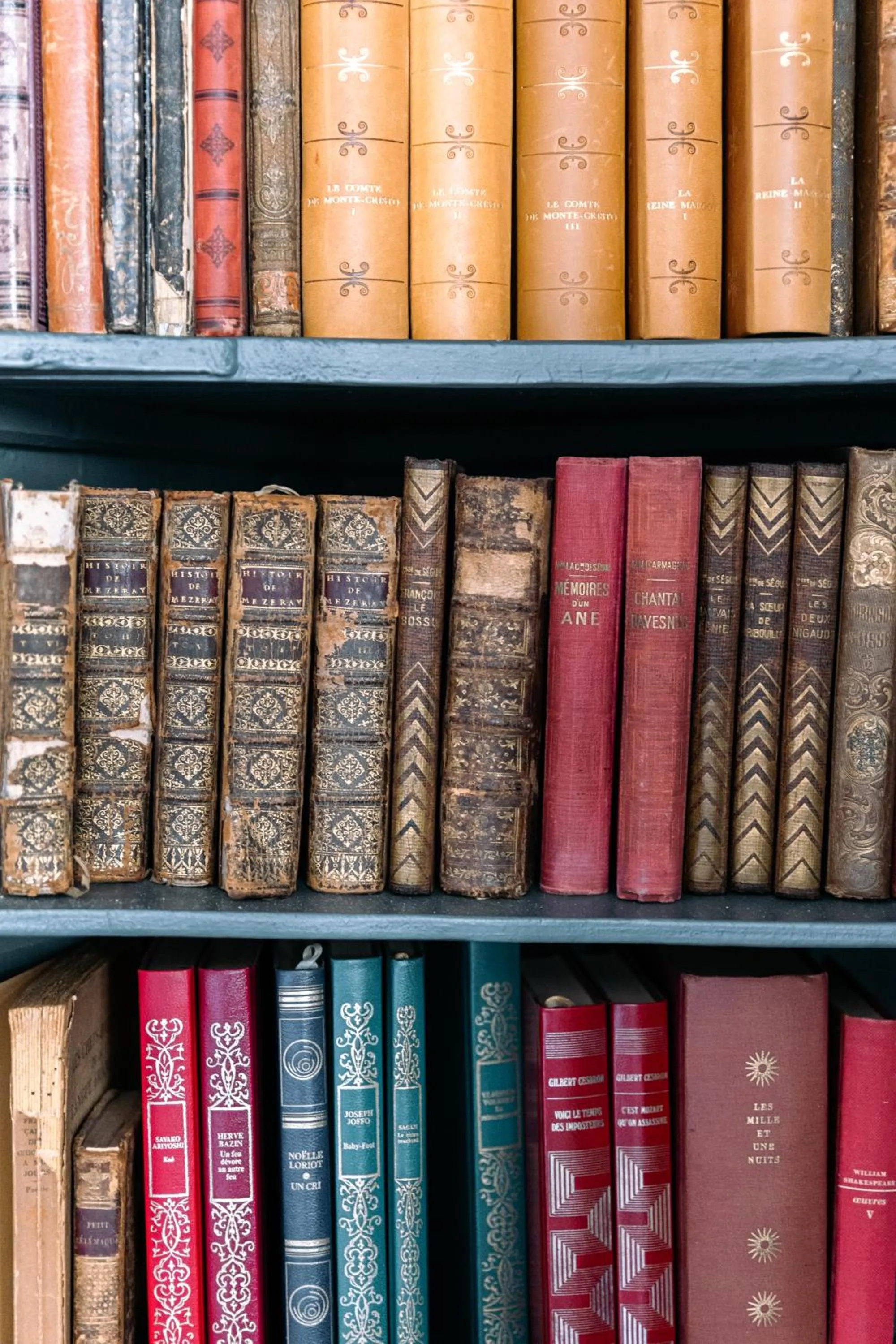 Library in La Maison Pavie