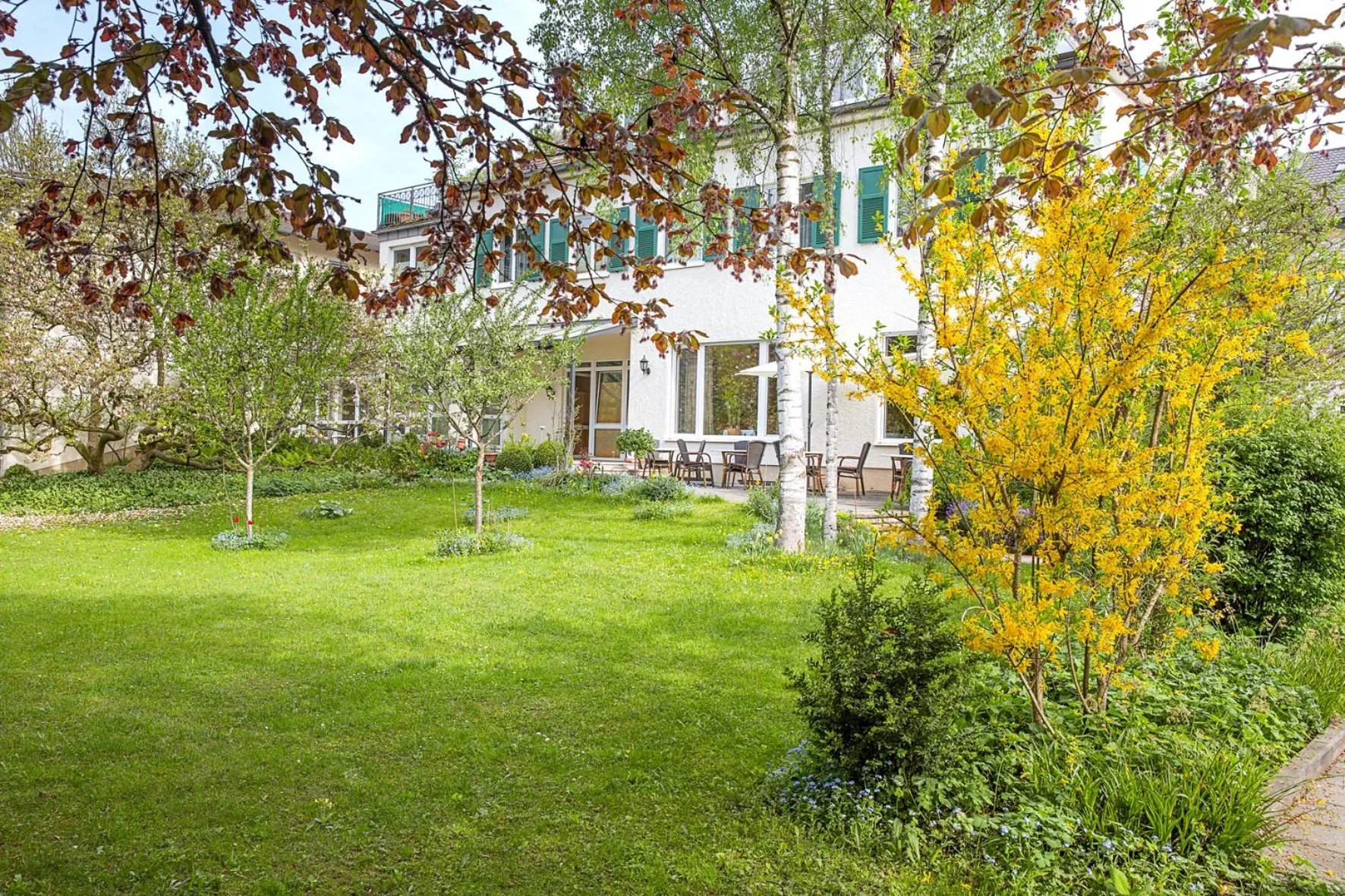 Garden in Villa Arborea