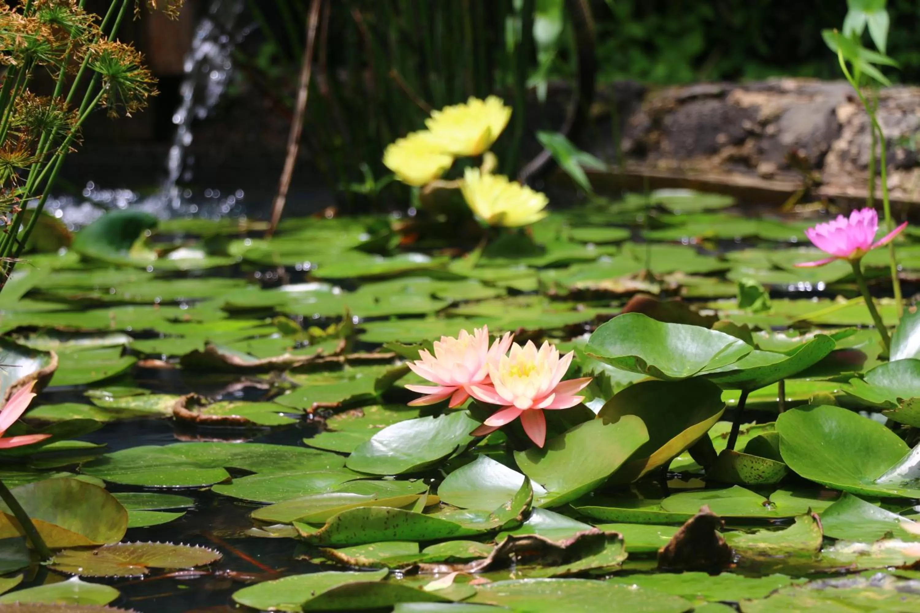 Decorative detail in Posada La Presa
