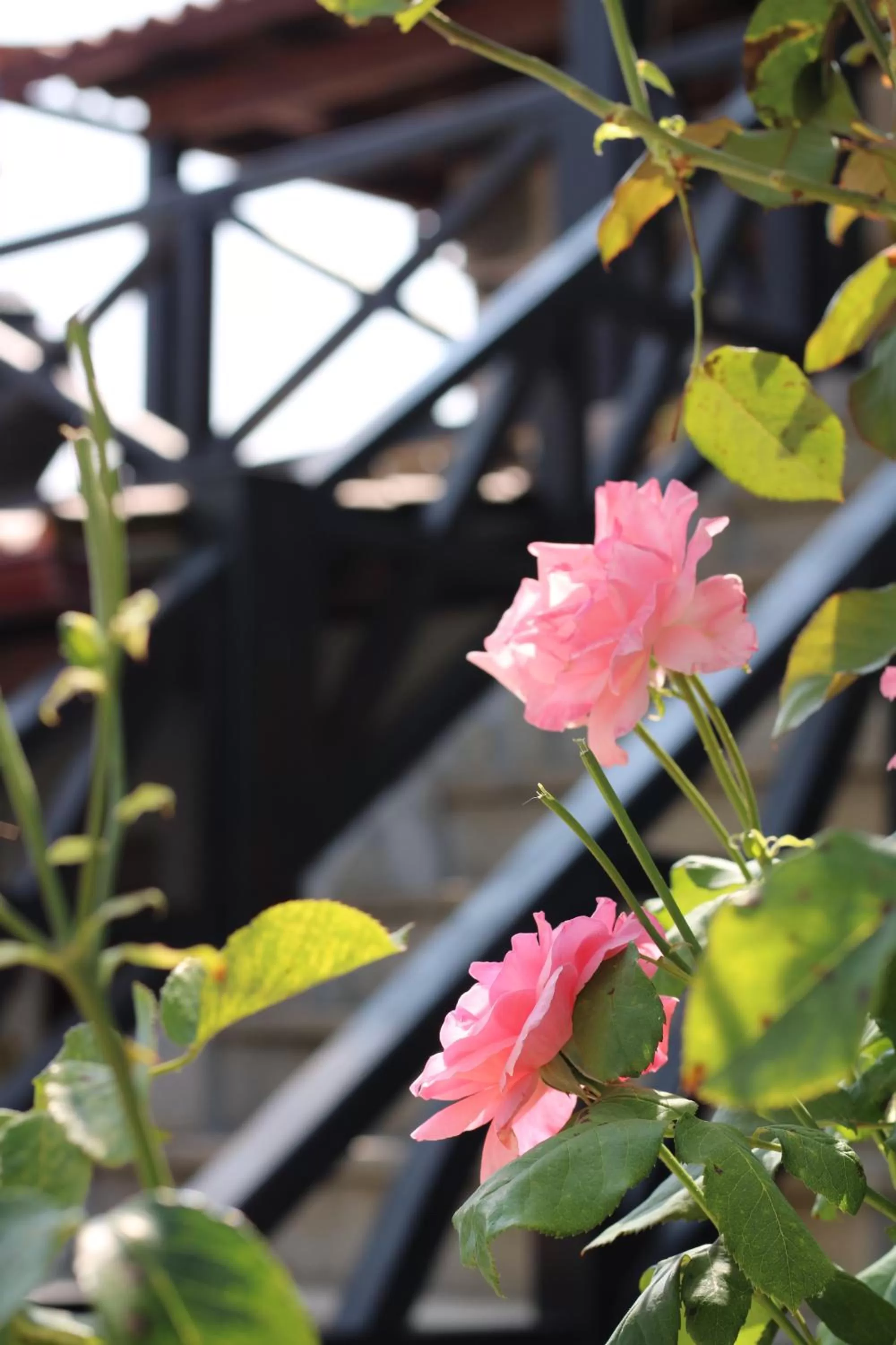 Property building in Casa da Aldeia da Avó