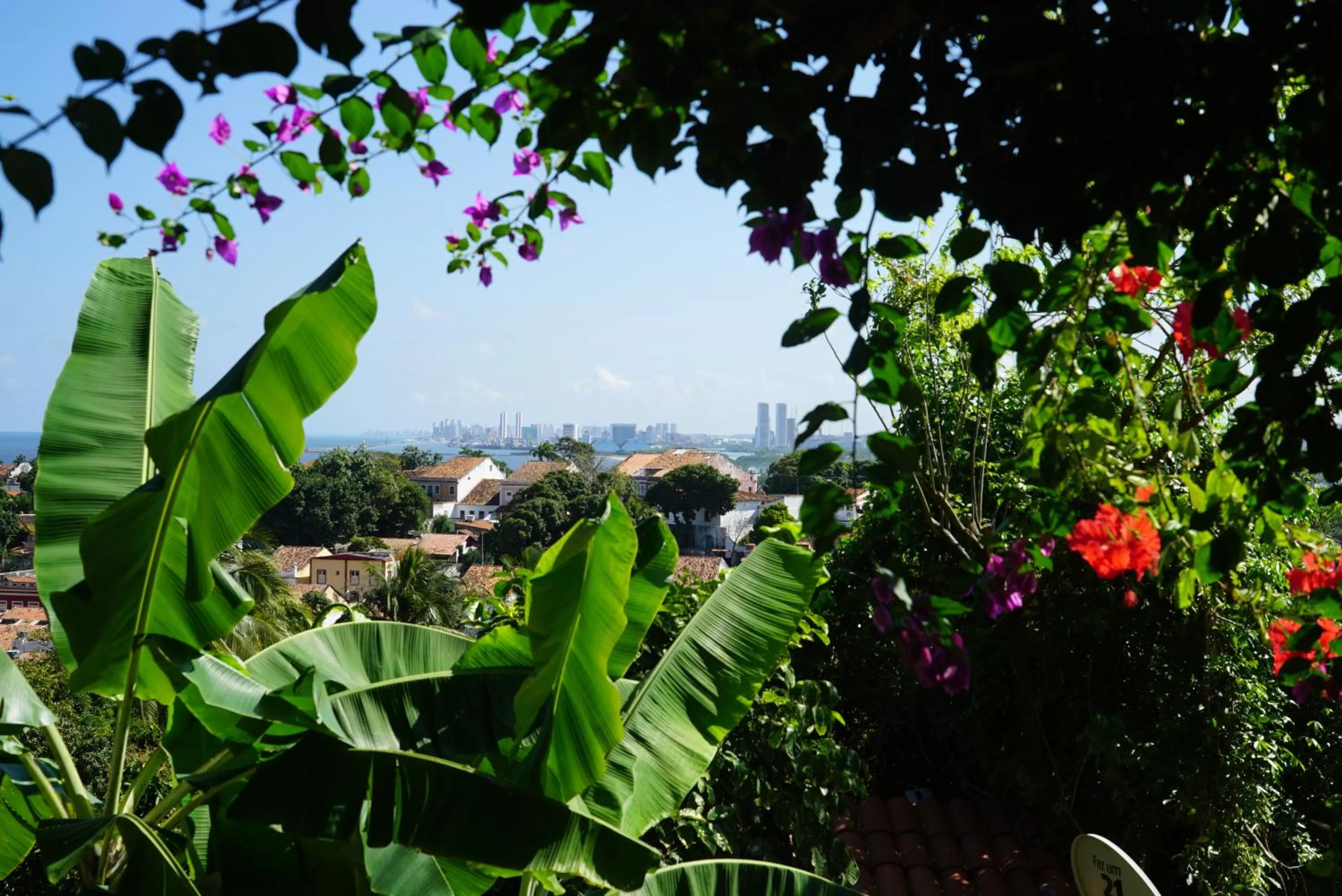 City view in Irradiante