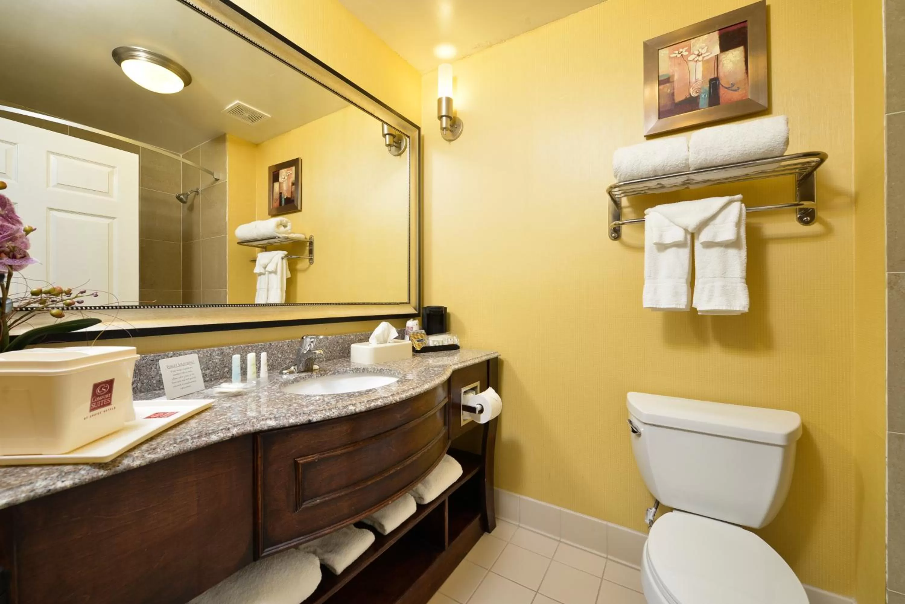 Bathroom in Comfort Suites Bay City East