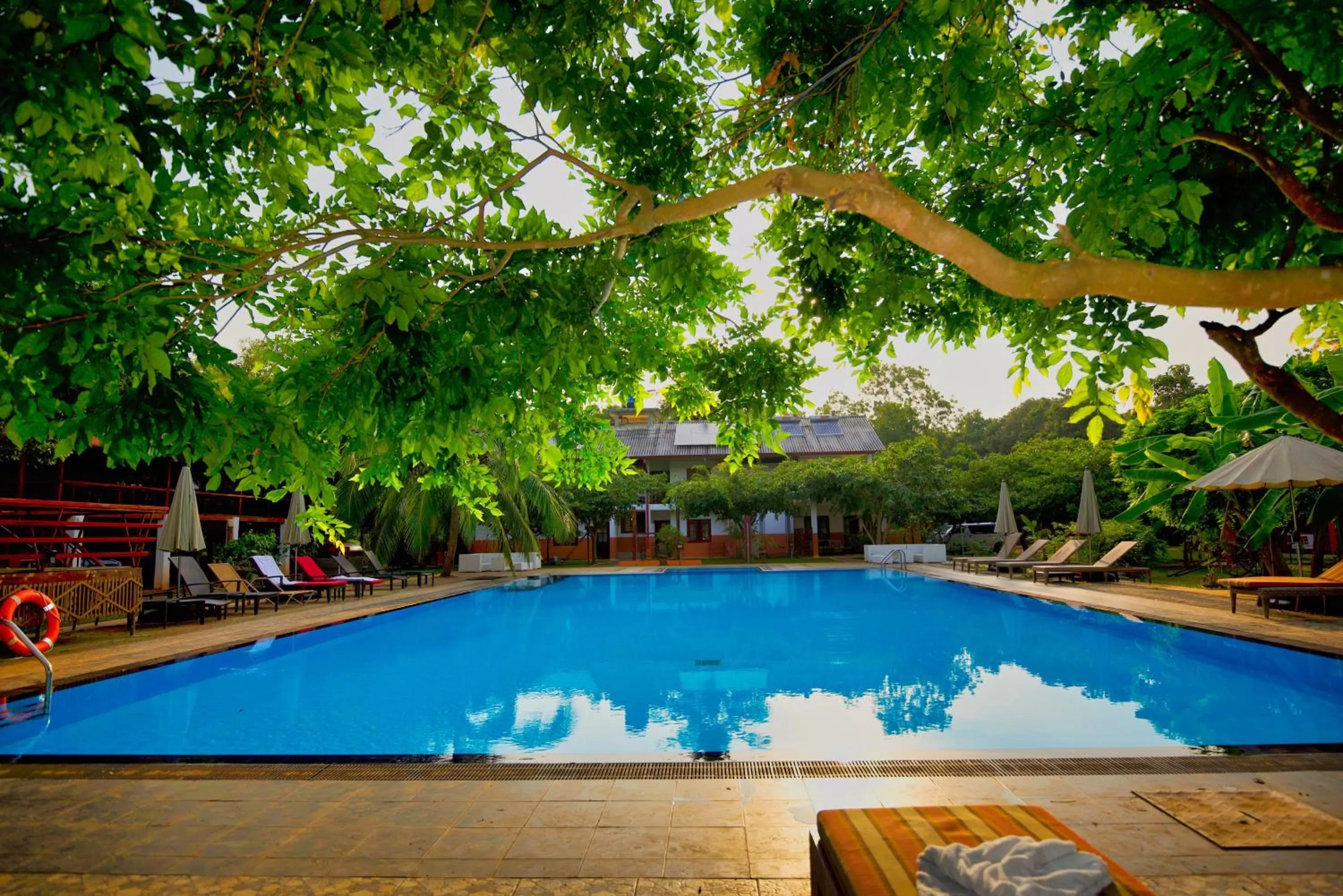 Swimming Pool in Hotel 4 U Saliya Garden